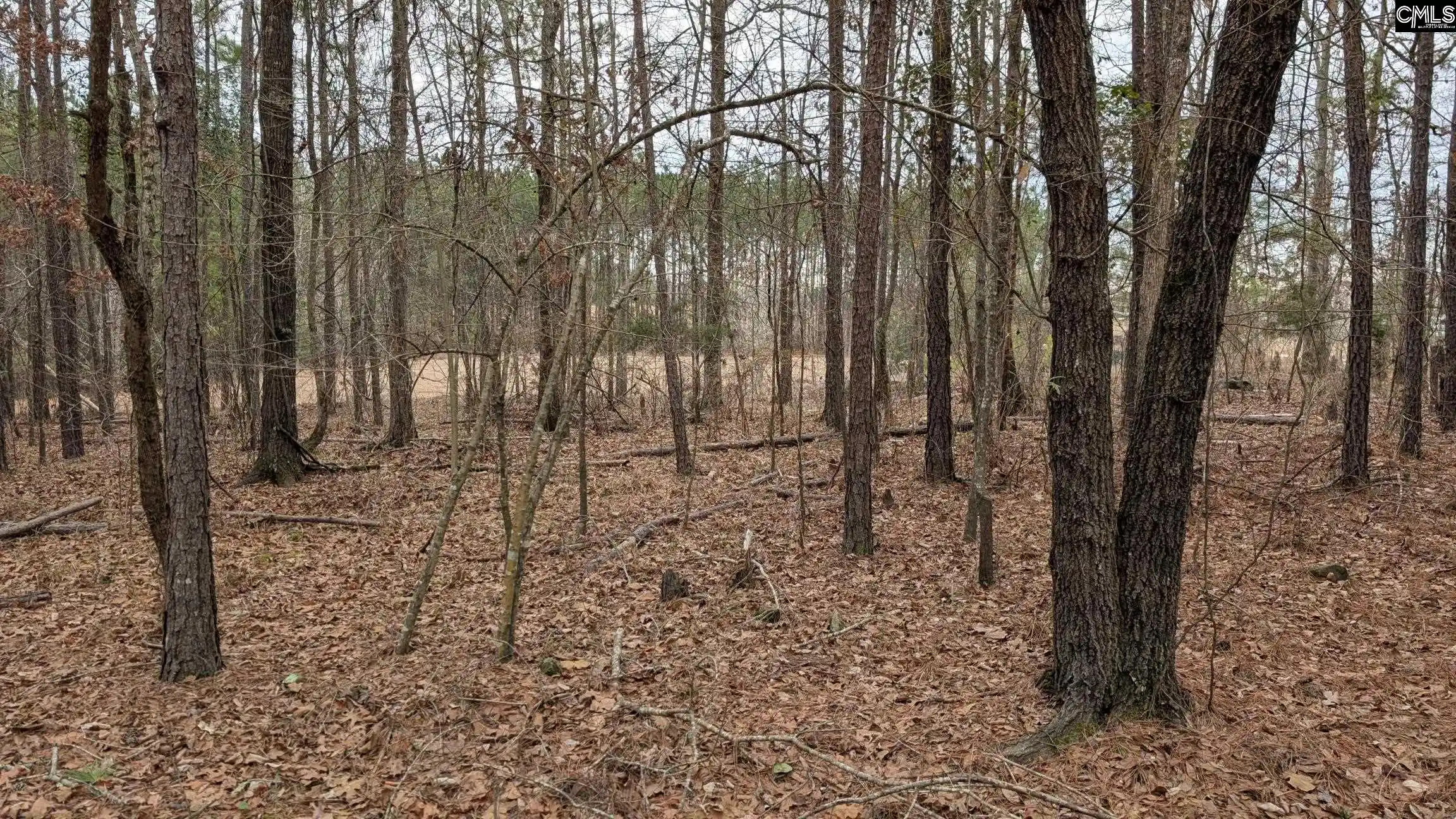 Photo 3 of Land for sale at Lot 3 Retreat Way, Ridgeway, SC 29130 | MLS# 644338 | Listing updated on 2026-10-03