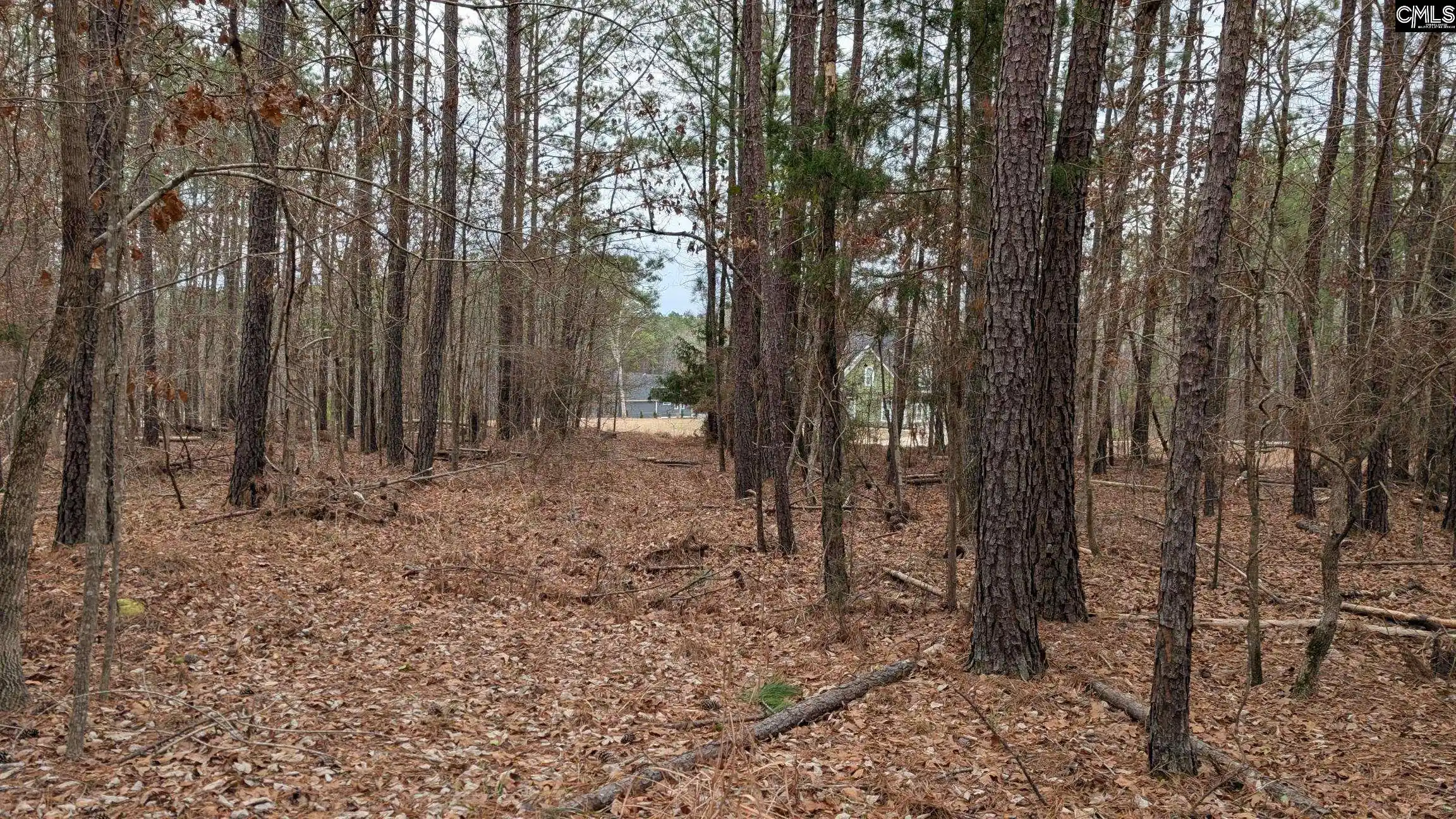 Photo 4 of Land for sale at Lot 3 Retreat Way, Ridgeway, SC 29130 | MLS# 644338 | Listing updated on 2026-10-03