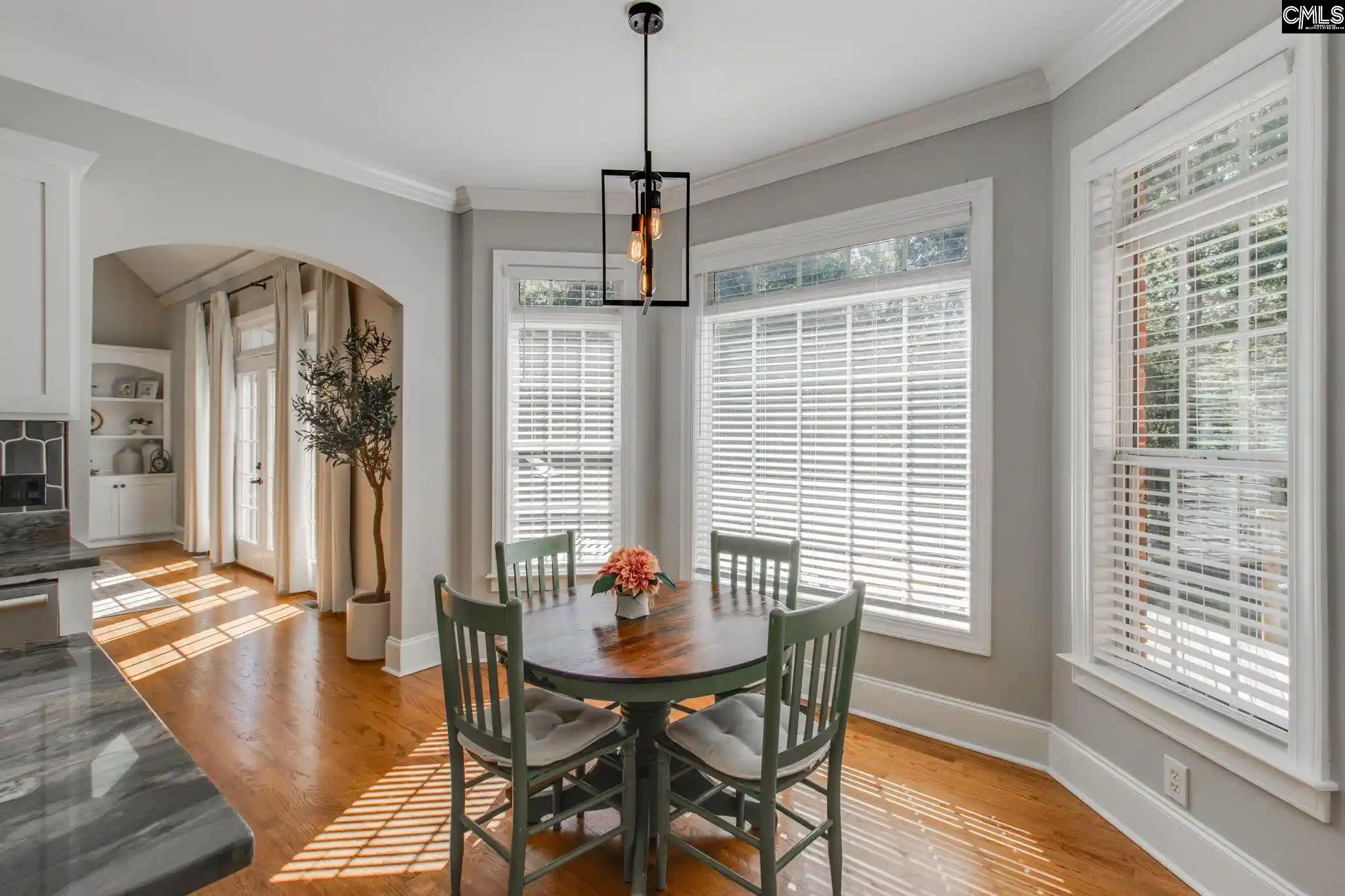 Photo 3 of Single family home for sale at 437 Caro, Chapin, SC 29036 | MLS# 644351 | Listing updated on 2026-10-05