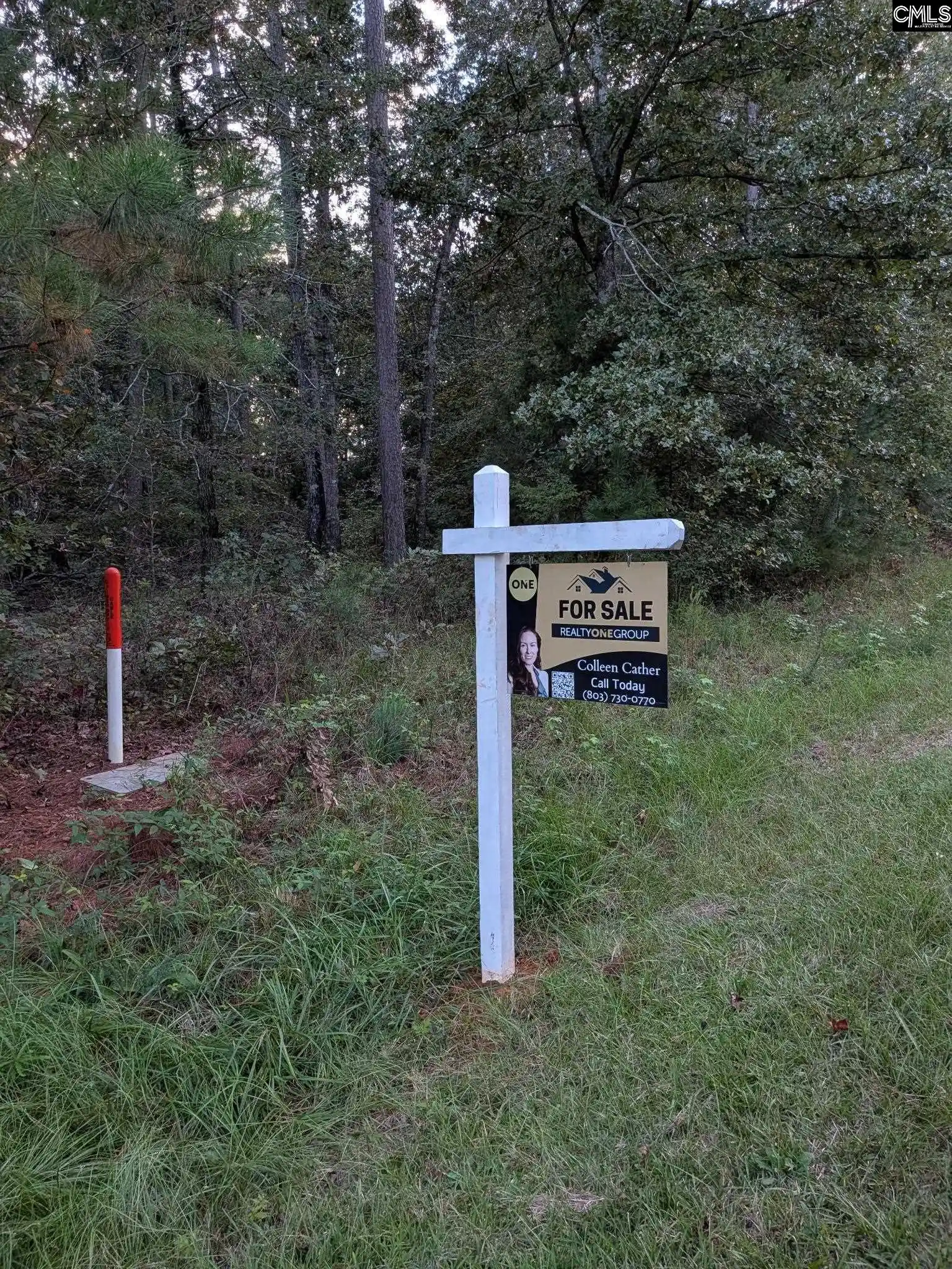 Photo 3 of Land for sale at 0 Persimmon Dr, Saluda, SC 29138 | MLS# 644428 | Listing updated on 2026-10-06