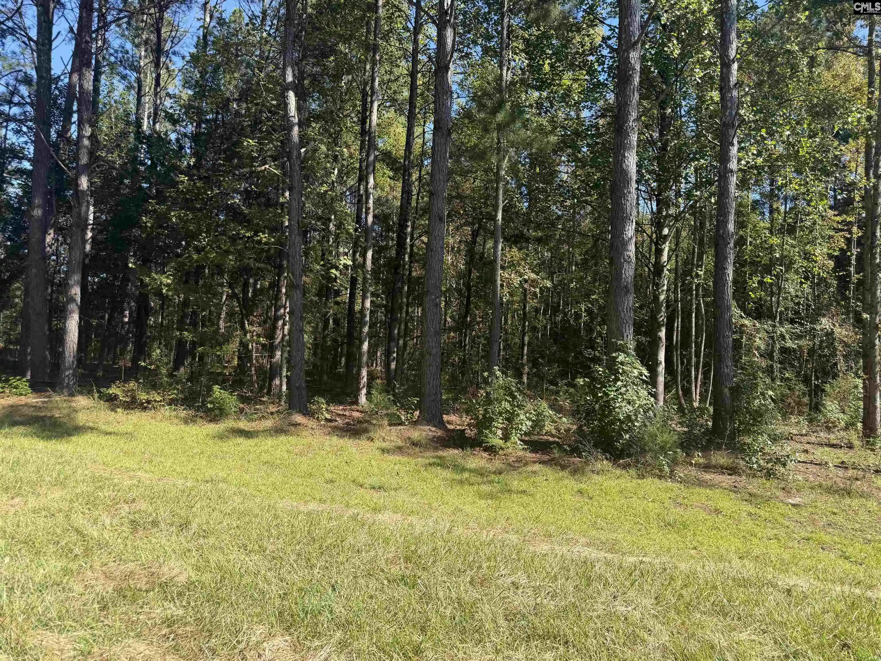 Photo 1 of Land for sale at 2274 Crowder, Kinards, SC 29355 | MLS# 644456 | Listing updated on 2026-10-06