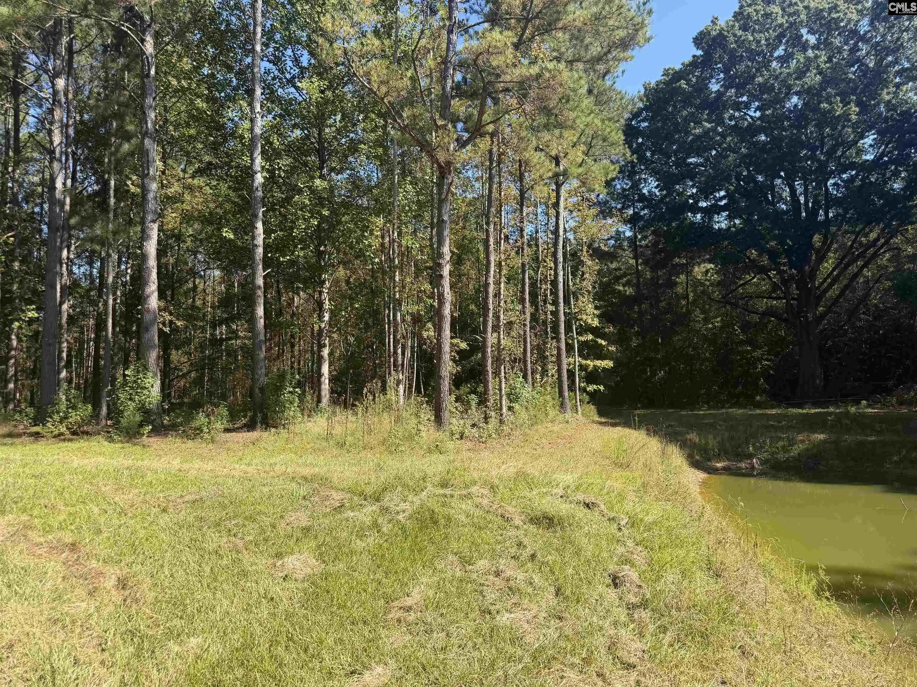 Photo 2 of Land for sale at 2274 Crowder, Kinards, SC 29355 | MLS# 644456 | Listing updated on 2026-10-06