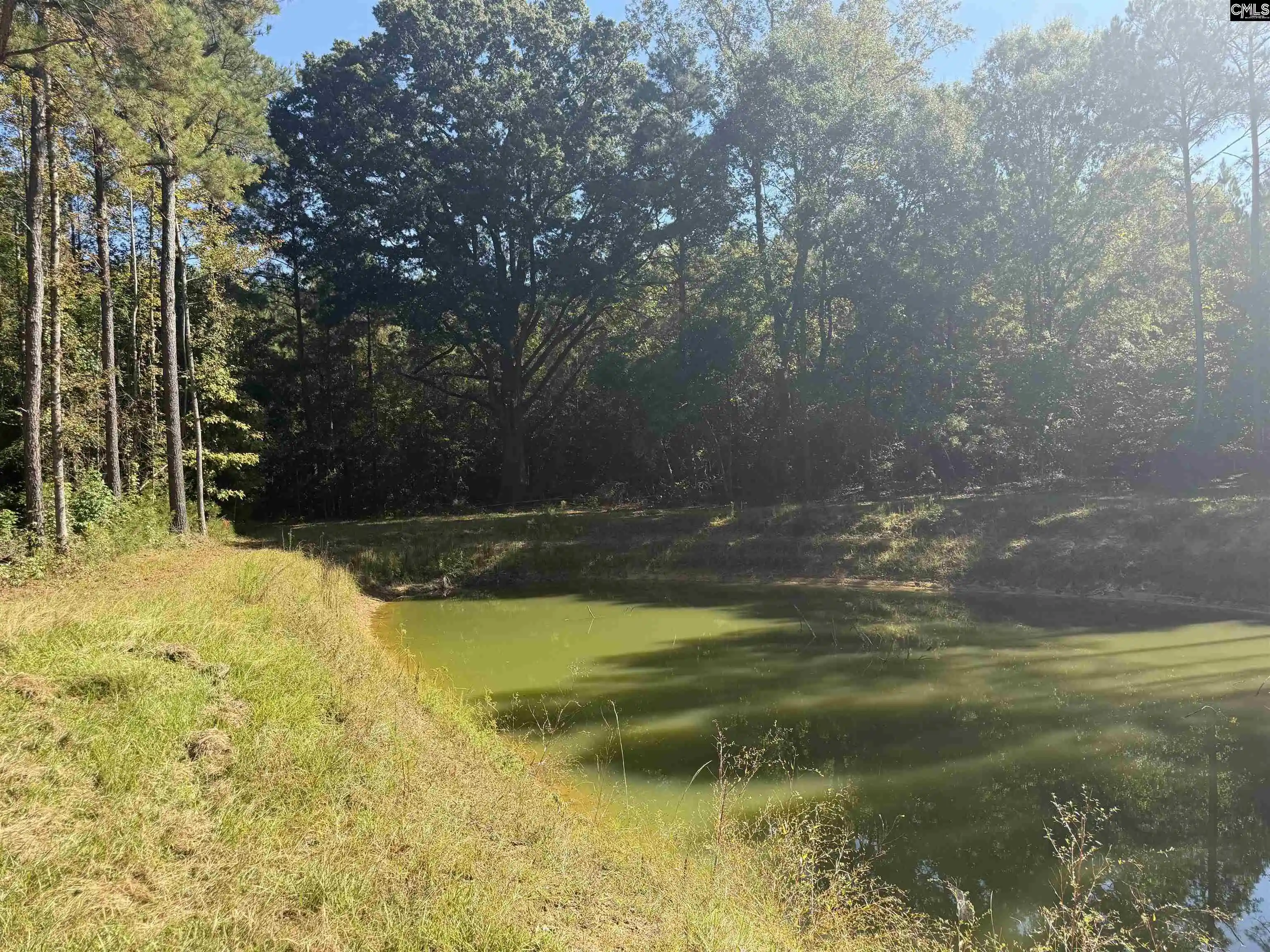 Photo 3 of Land for sale at 2274 Crowder, Kinards, SC 29355 | MLS# 644456 | Listing updated on 2026-10-06