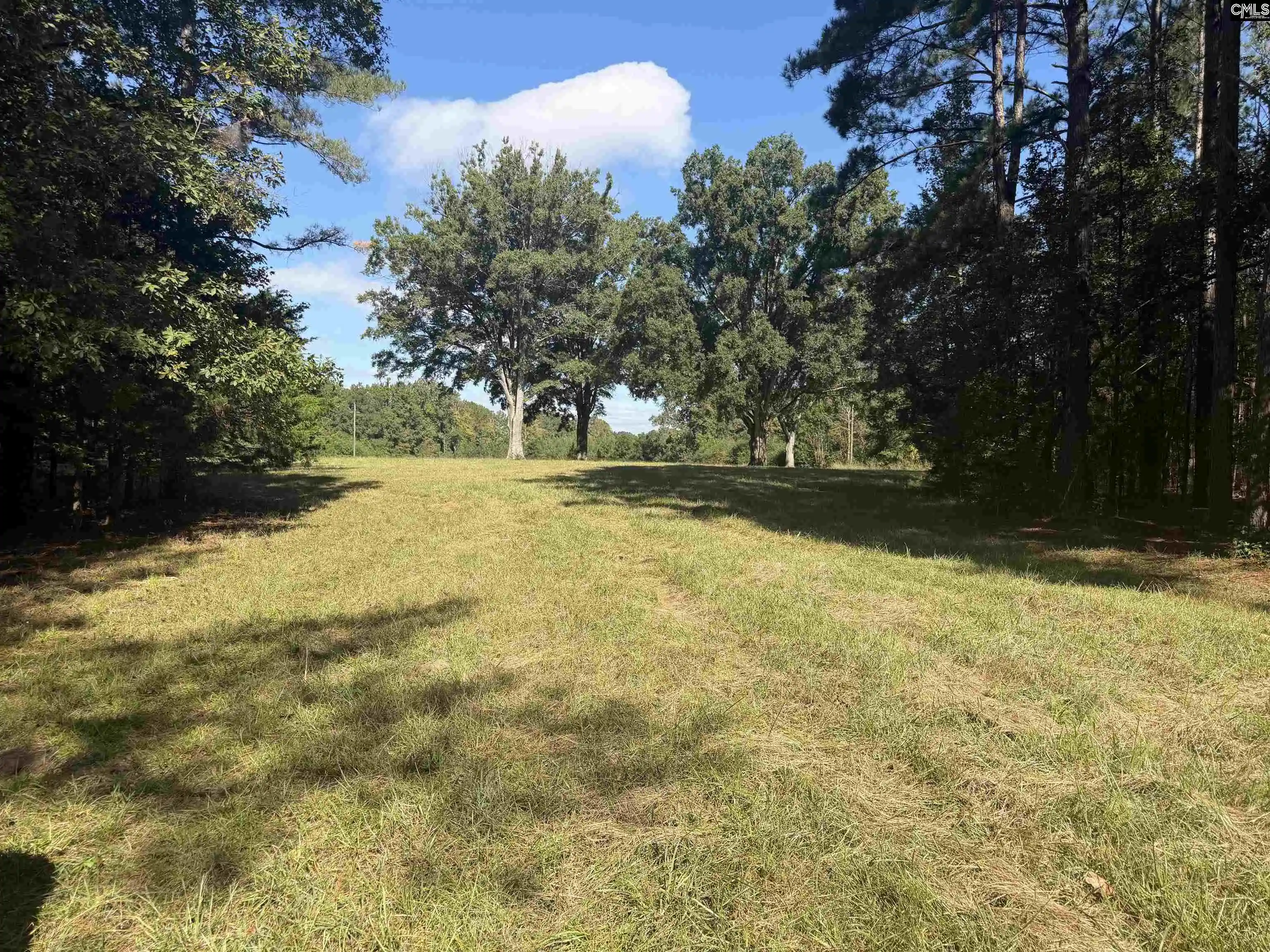 Photo 3 of Land for sale at 2274 Crowder, Kinards, SC 29355 | MLS# 644456 | Listing updated on 2026-10-06