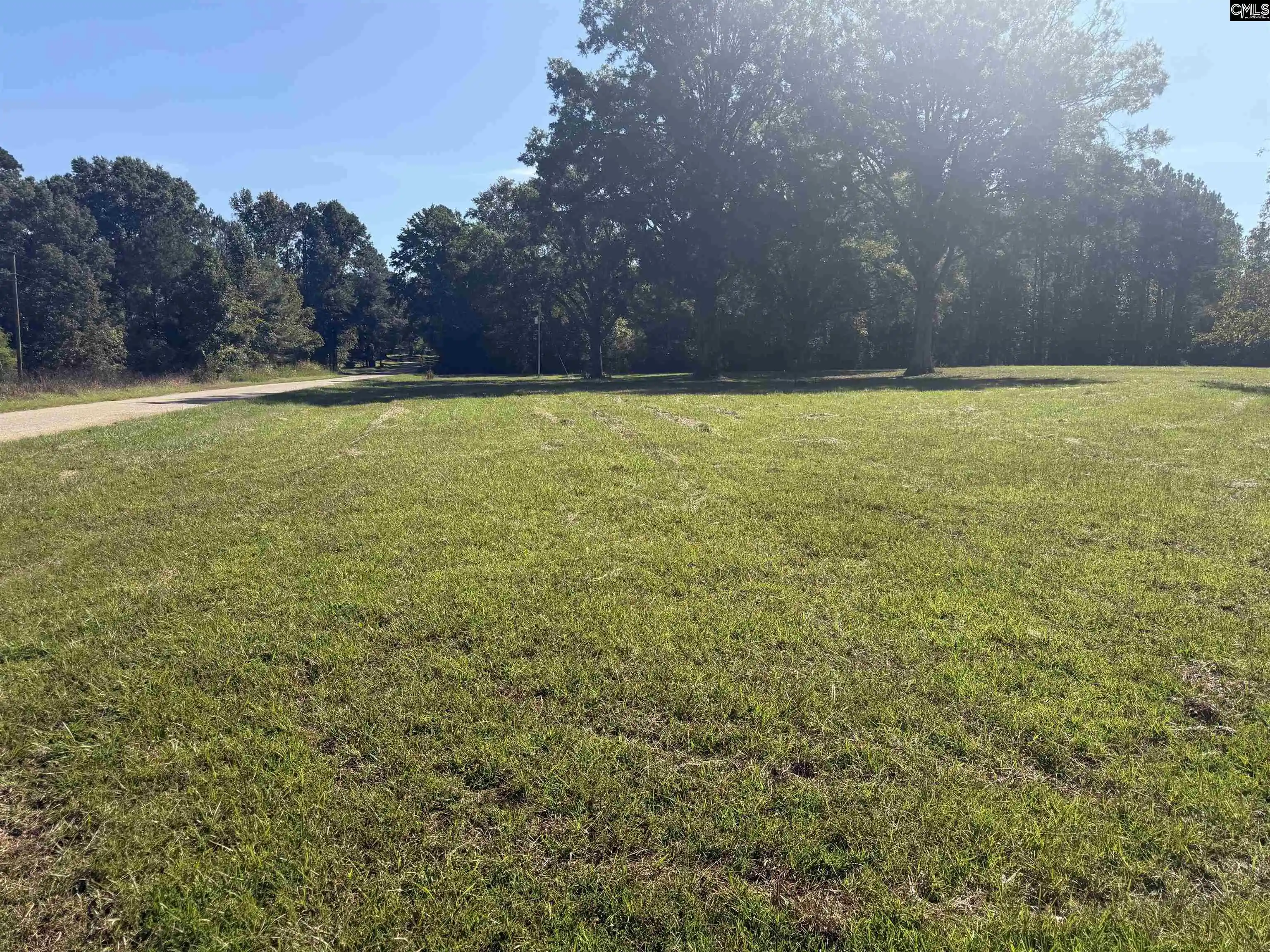 Photo 4 of Land for sale at 2274 Crowder, Kinards, SC 29355 | MLS# 644456 | Listing updated on 2026-10-06