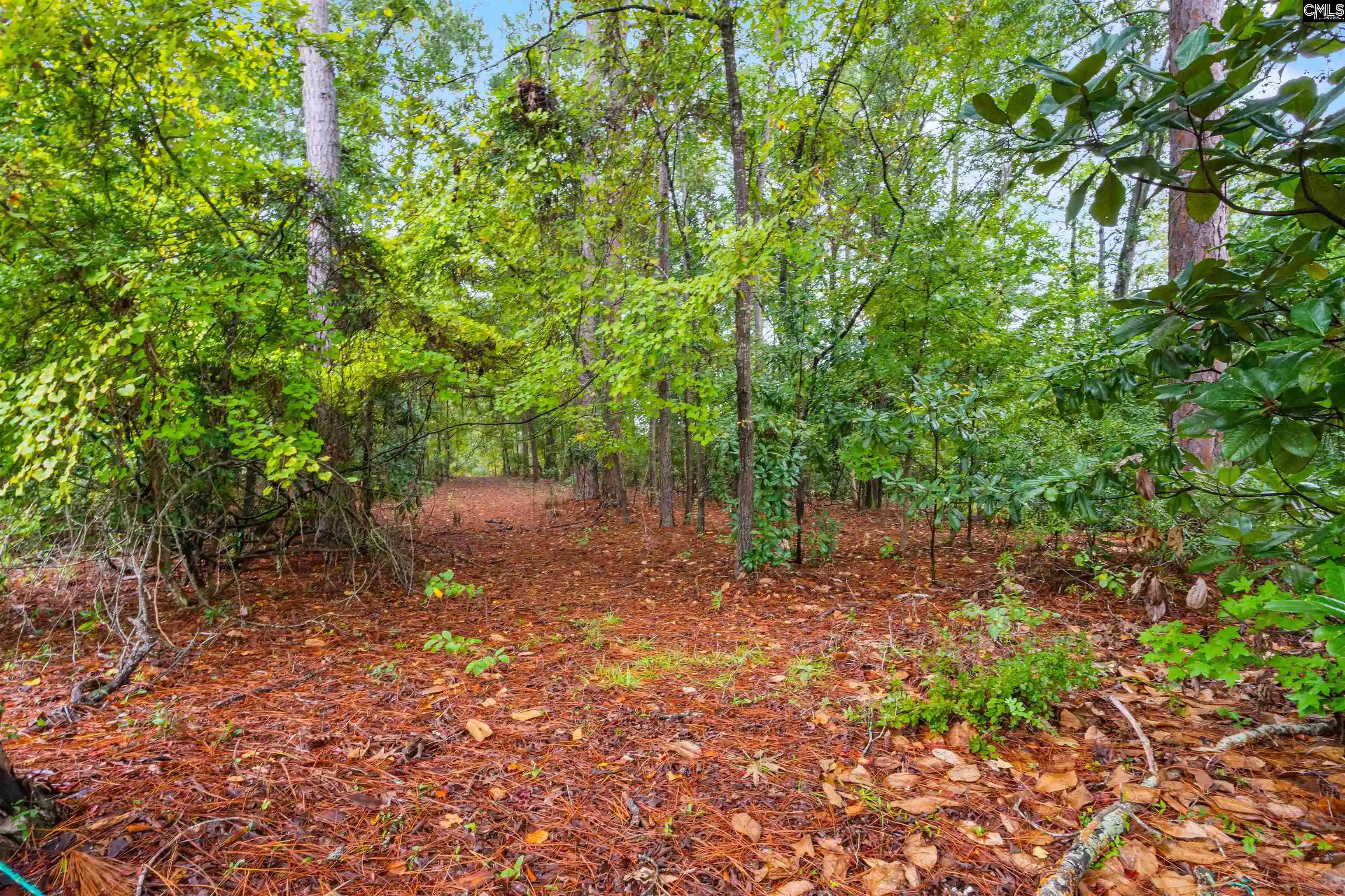 Photo 1 of Land for sale at 200 Leonard, Camden, SC 29020 | MLS# 644504 | Listing updated on 2026-10-07