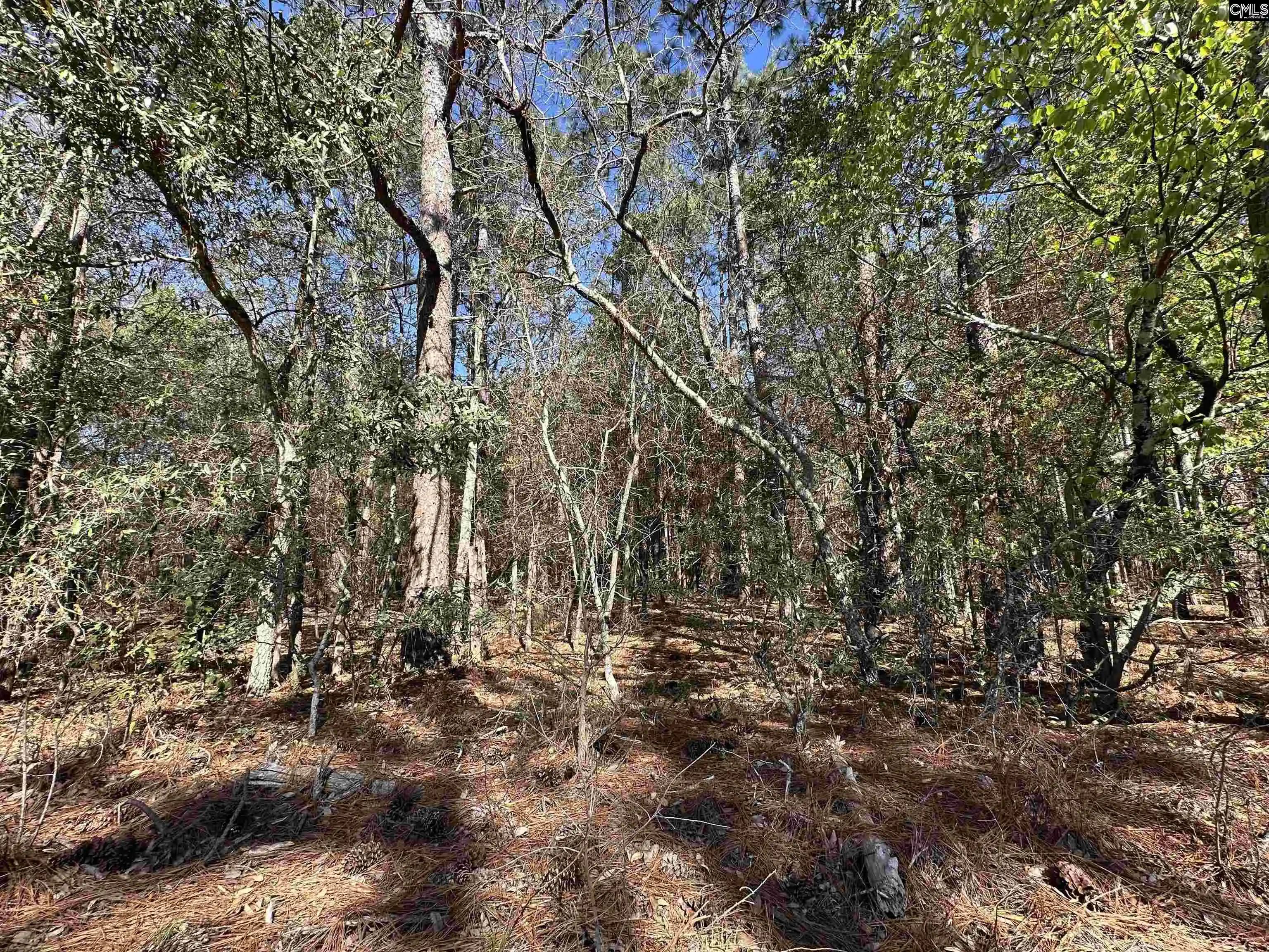 Photo 2 of Land for sale at Lot 2 Mimosa, Gaston, SC 29053 | MLS# 644524 | Listing updated on 2026-10-07