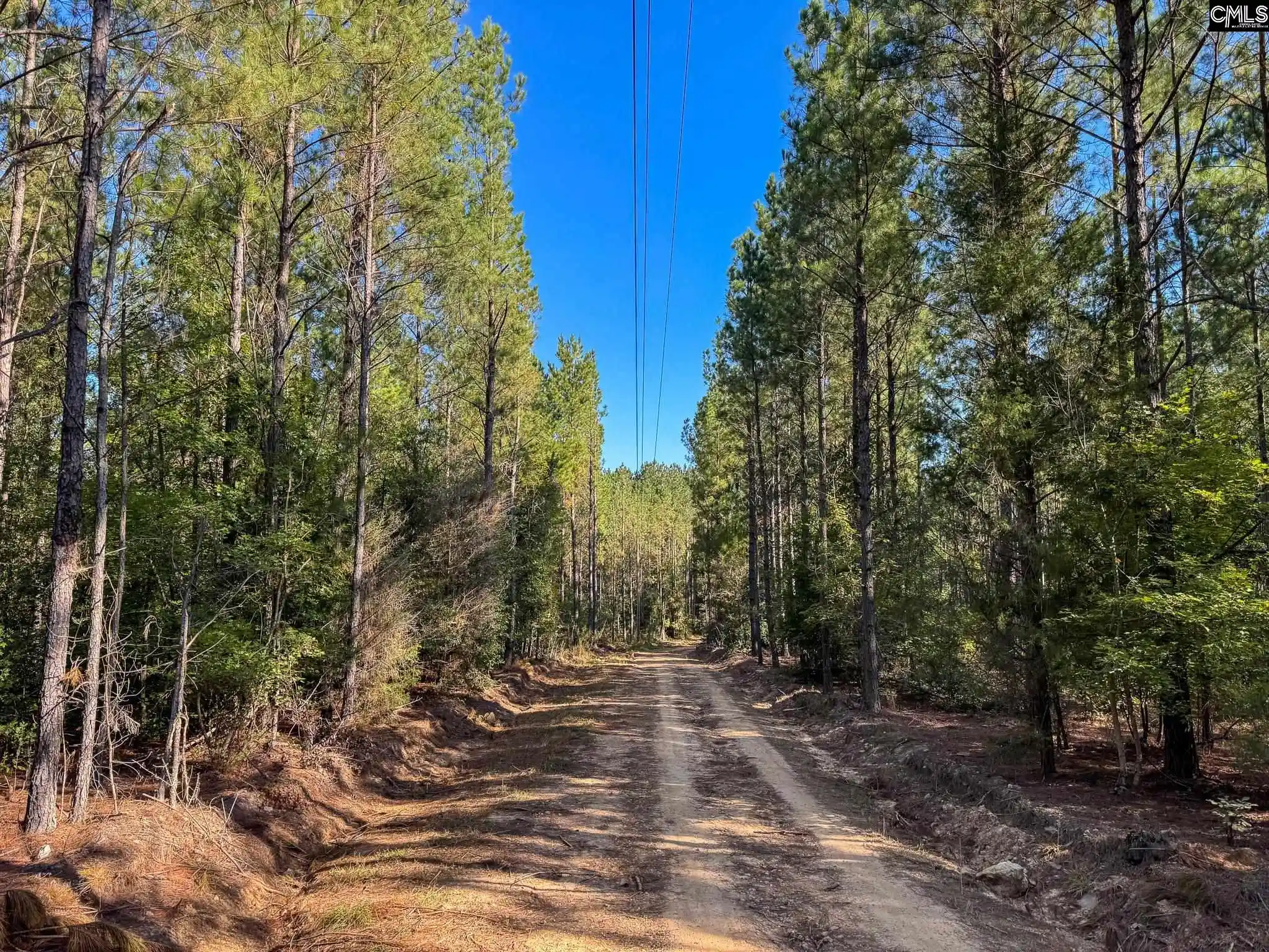 Photo 1 of Land for sale at 0 Lila, Batesburg, SC 29006 | MLS# 644543 | Listing updated on 2026-10-07