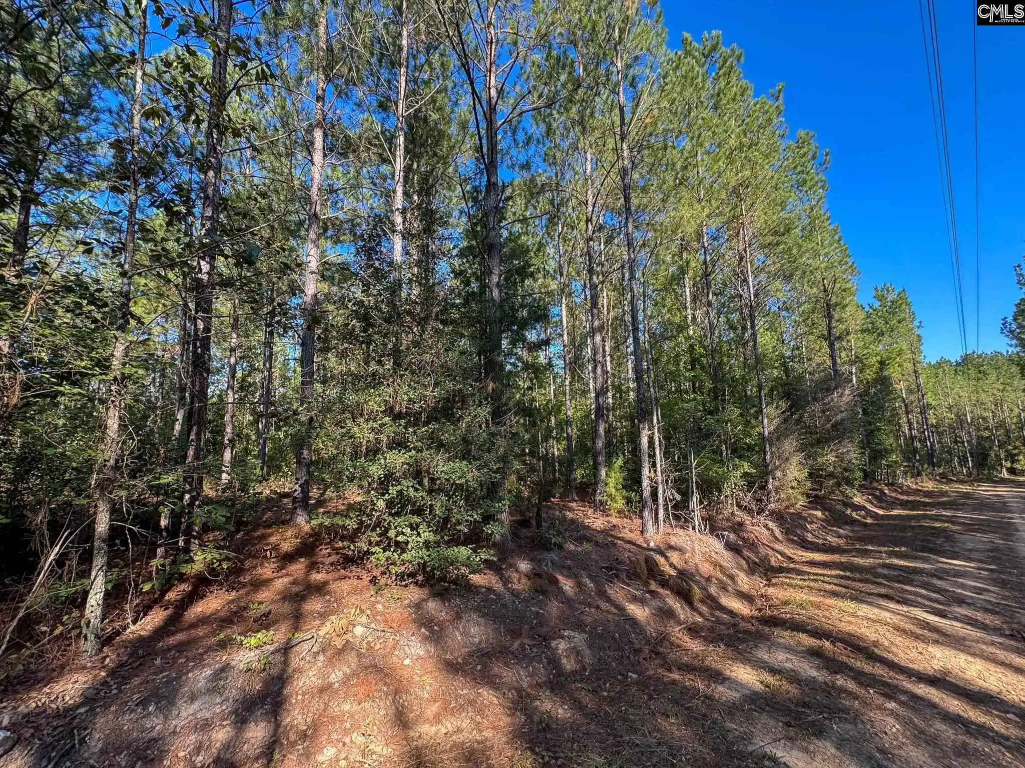 Photo 2 of Land for sale at 0 Lila, Batesburg, SC 29006 | MLS# 644543 | Listing updated on 2026-10-07