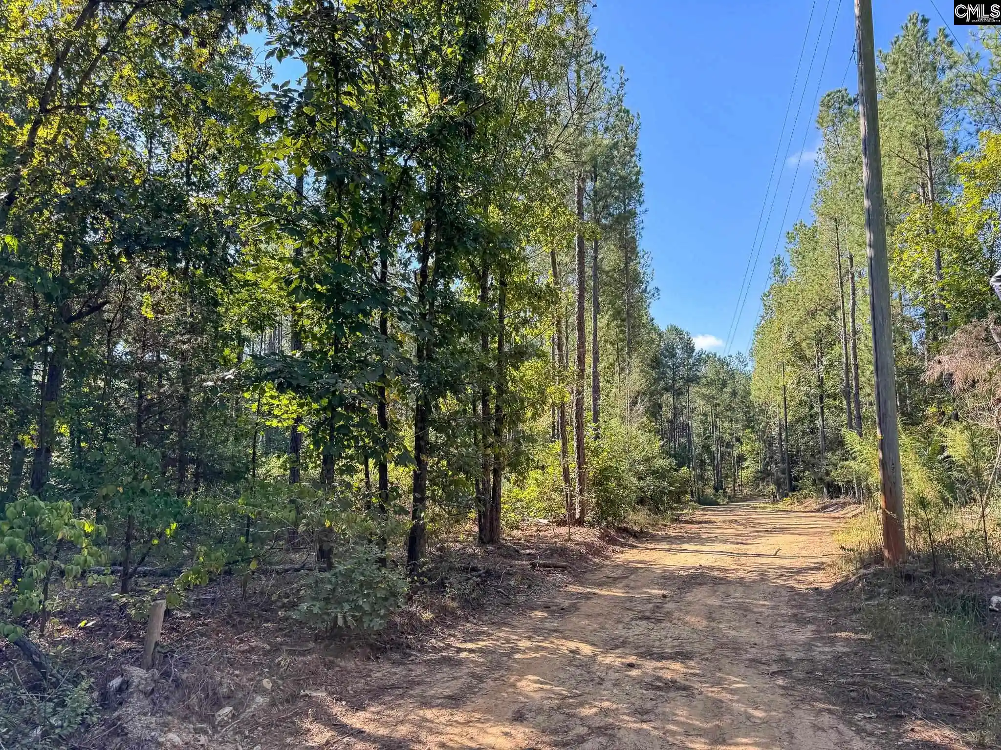Photo 3 of Land for sale at 0 Lila, Batesburg, SC 29006 | MLS# 644543 | Listing updated on 2026-10-07