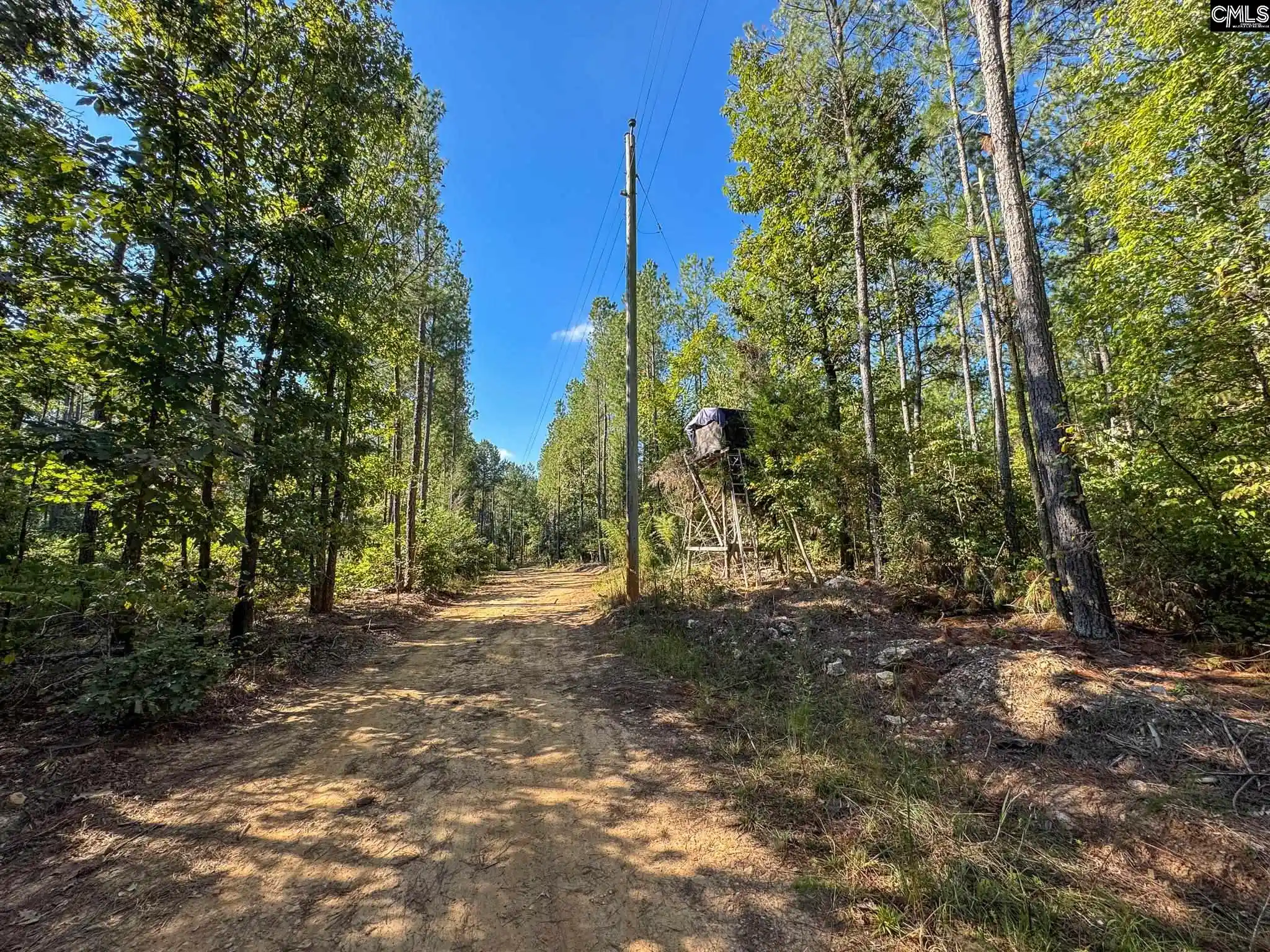 Photo 3 of Land for sale at 0 Lila, Batesburg, SC 29006 | MLS# 644543 | Listing updated on 2026-10-07