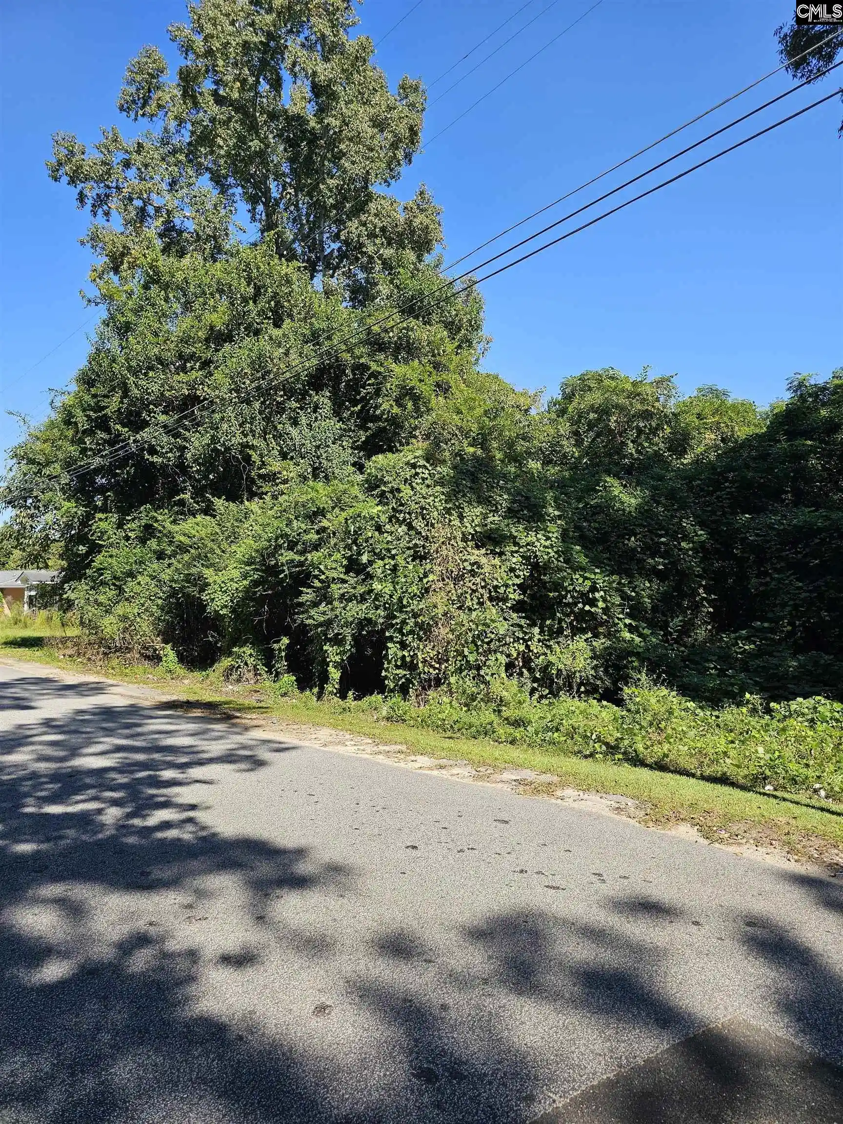 Photo 1 of Land for sale at 14 Collins, Manning, SC 29102 | MLS# 644549 | Listing updated on 2026-10-09