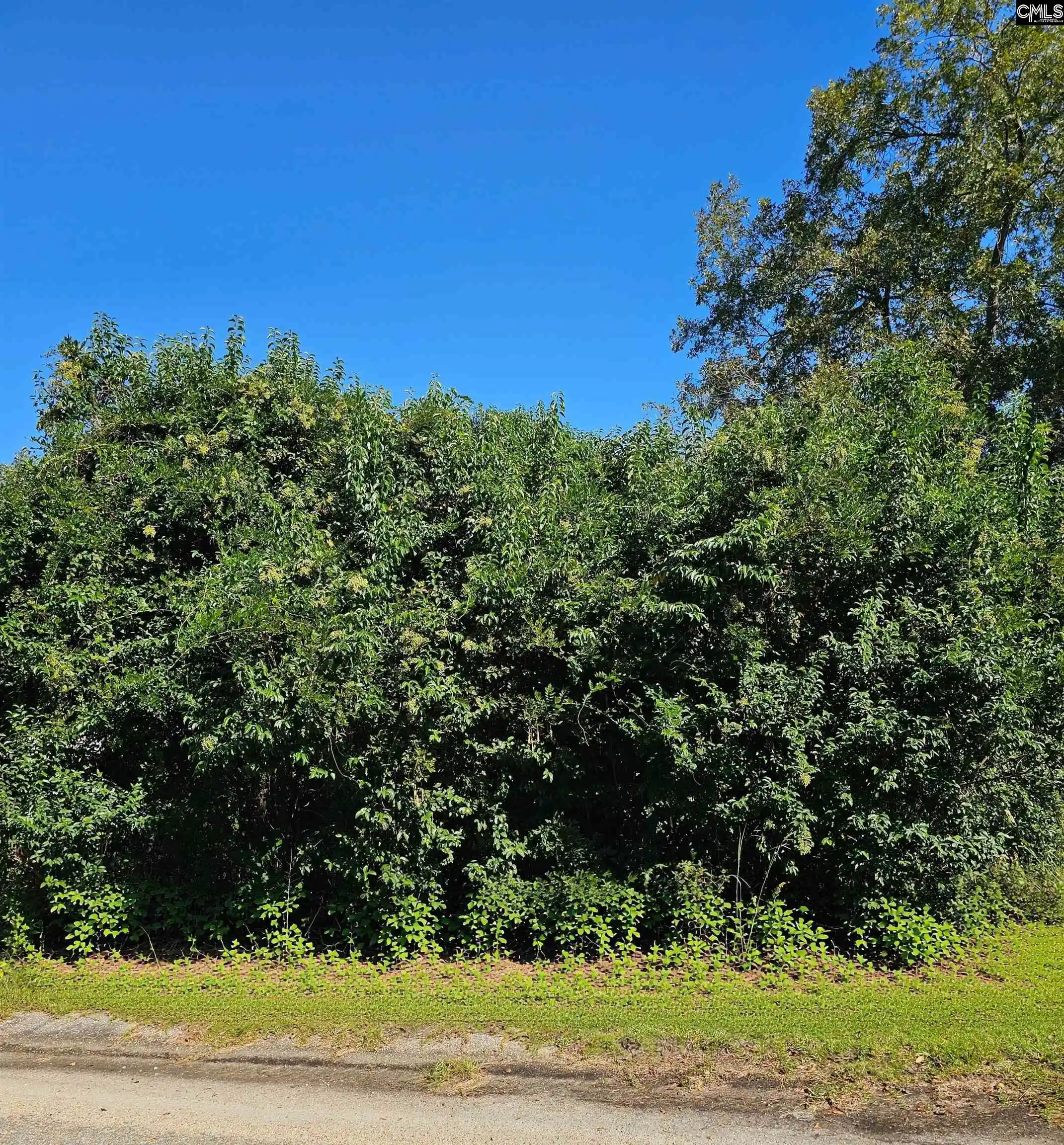 Photo 1 of Land for sale at 204 Harvin, Manning, SC 29102 | MLS# 644553 | Listing updated on 2026-10-09