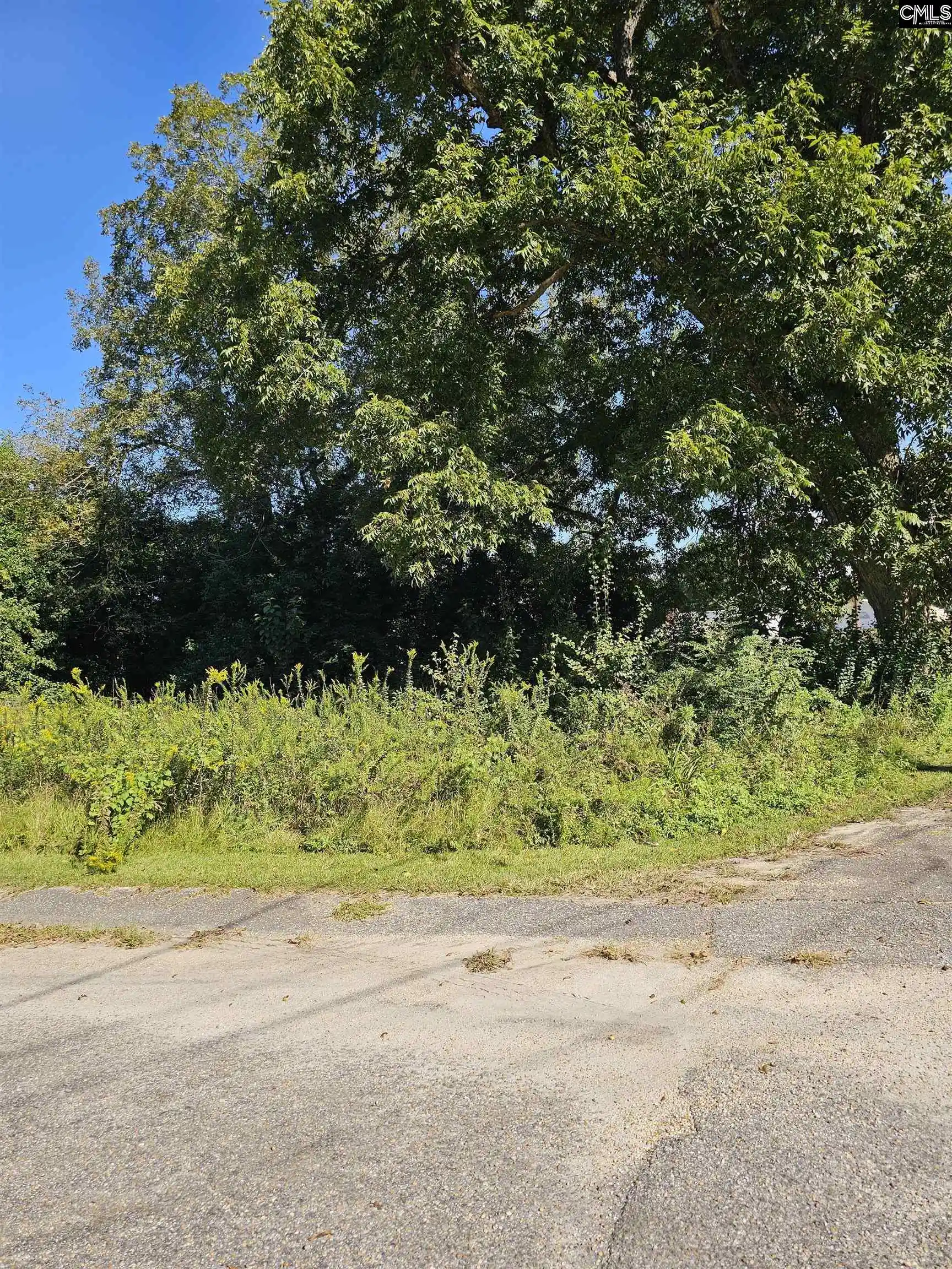 Photo 1 of Land for sale at 202 Harvin, Manning, SC 29102 | MLS# 644554 | Listing updated on 2026-10-09