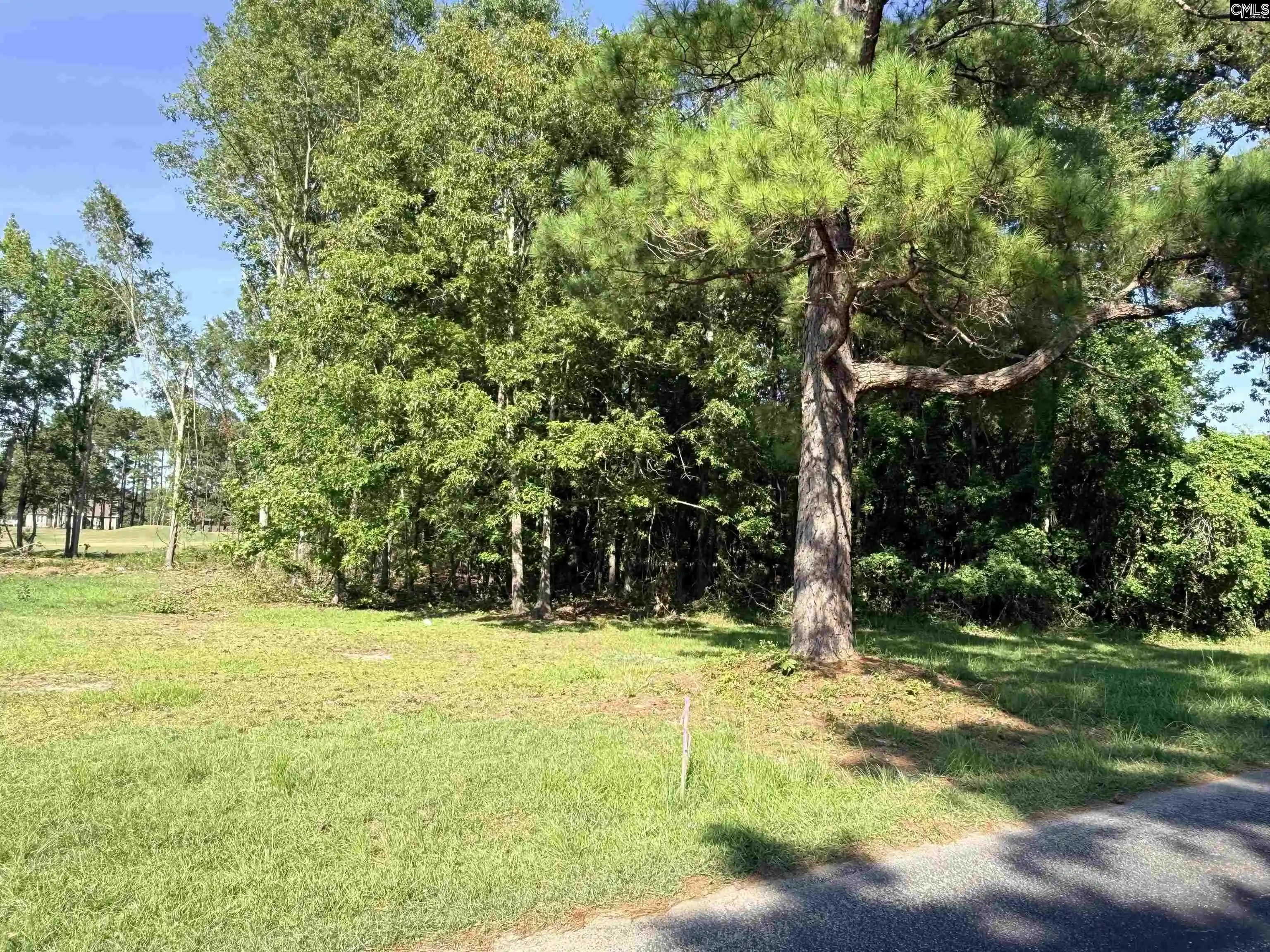 Photo 2 of Land for sale at 72 Ridge Lake, Manning, SC 29102 | MLS# 644603 | Listing updated on 2026-10-09