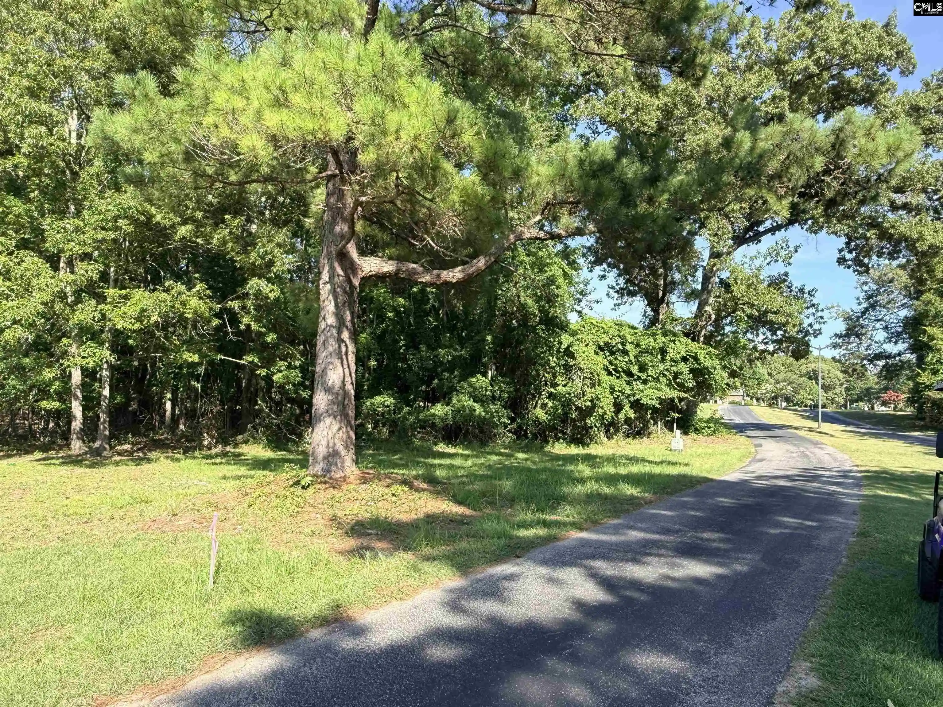 Photo 3 of Land for sale at 72 Ridge Lake, Manning, SC 29102 | MLS# 644603 | Listing updated on 2026-10-09