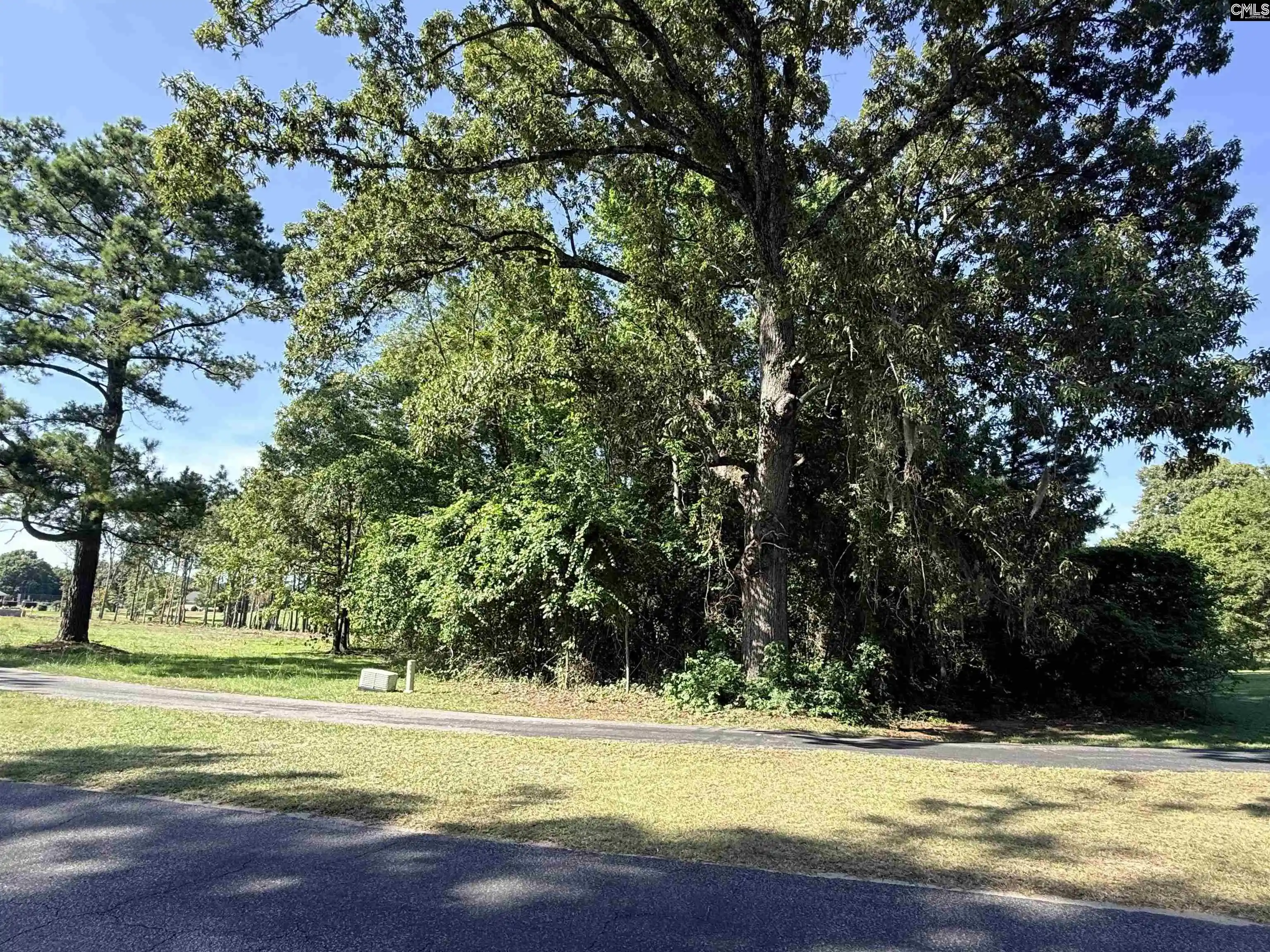 Photo 3 of Land for sale at 72 Ridge Lake, Manning, SC 29102 | MLS# 644603 | Listing updated on 2026-10-09