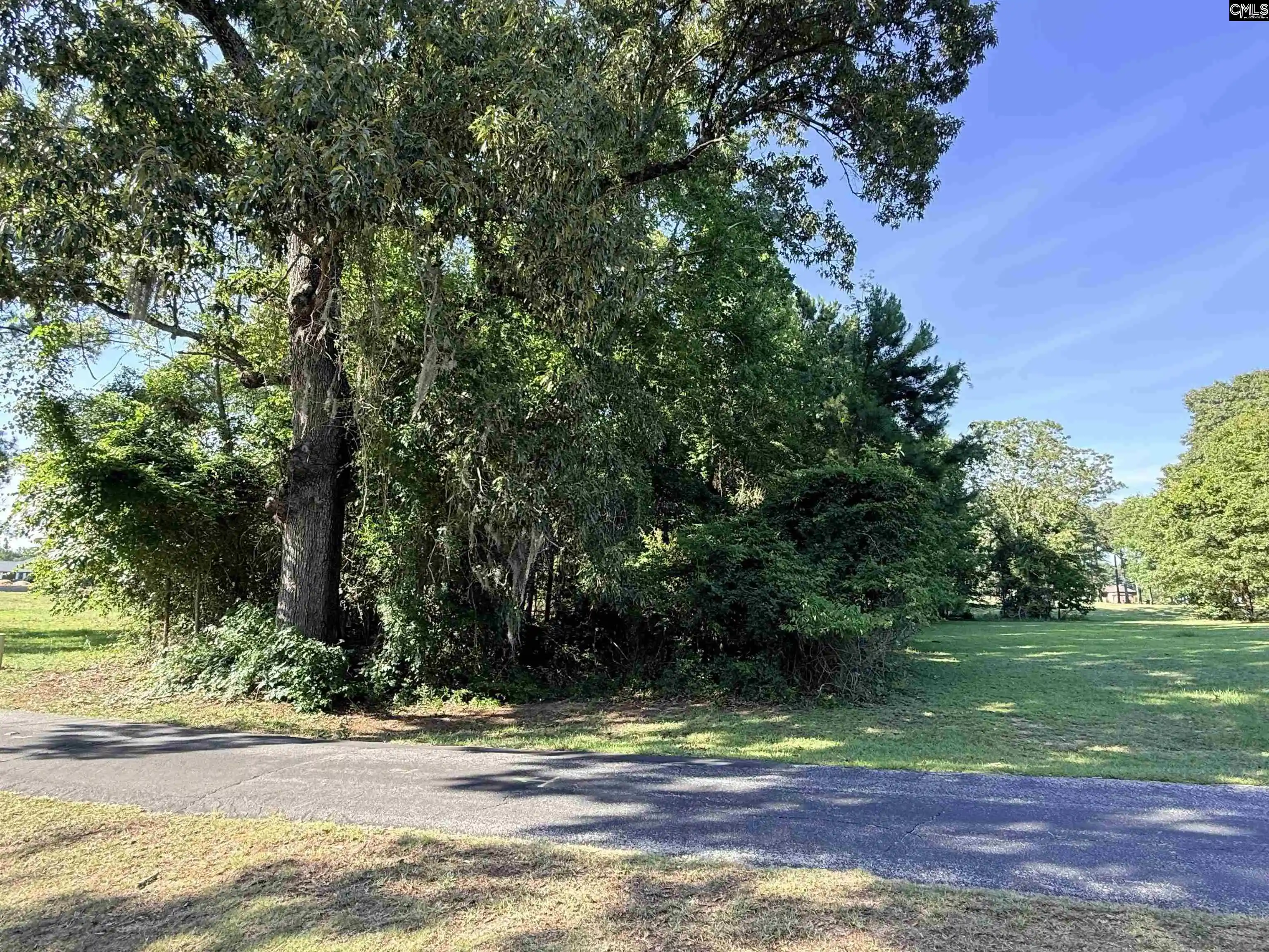 Photo 4 of Land for sale at 72 Ridge Lake, Manning, SC 29102 | MLS# 644603 | Listing updated on 2026-10-09
