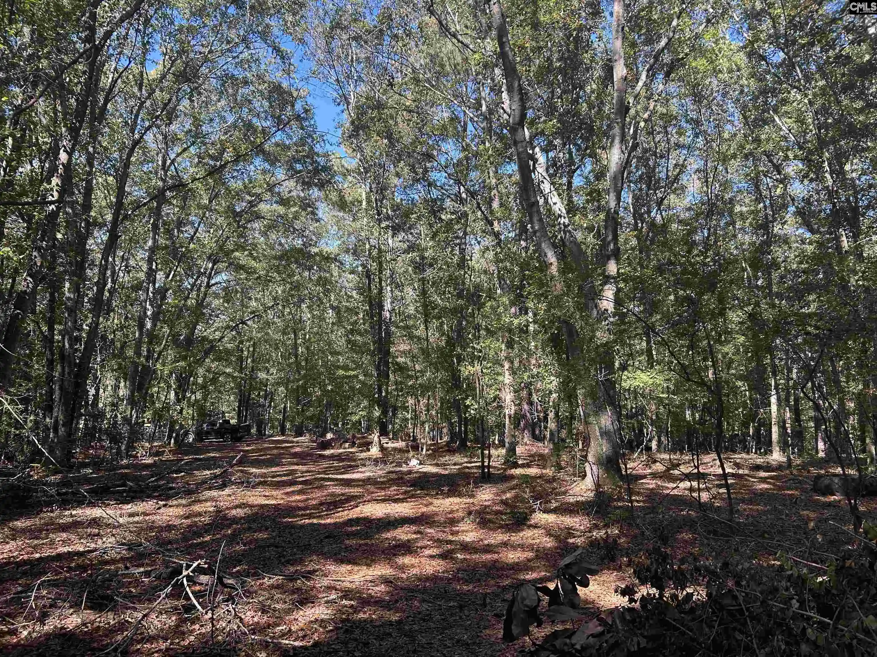 Photo 1 of Land for sale at 0 Swamp Rabbit Rd, Leesville, SC 29070 | MLS# 644630 | Listing updated on 2026-10-15