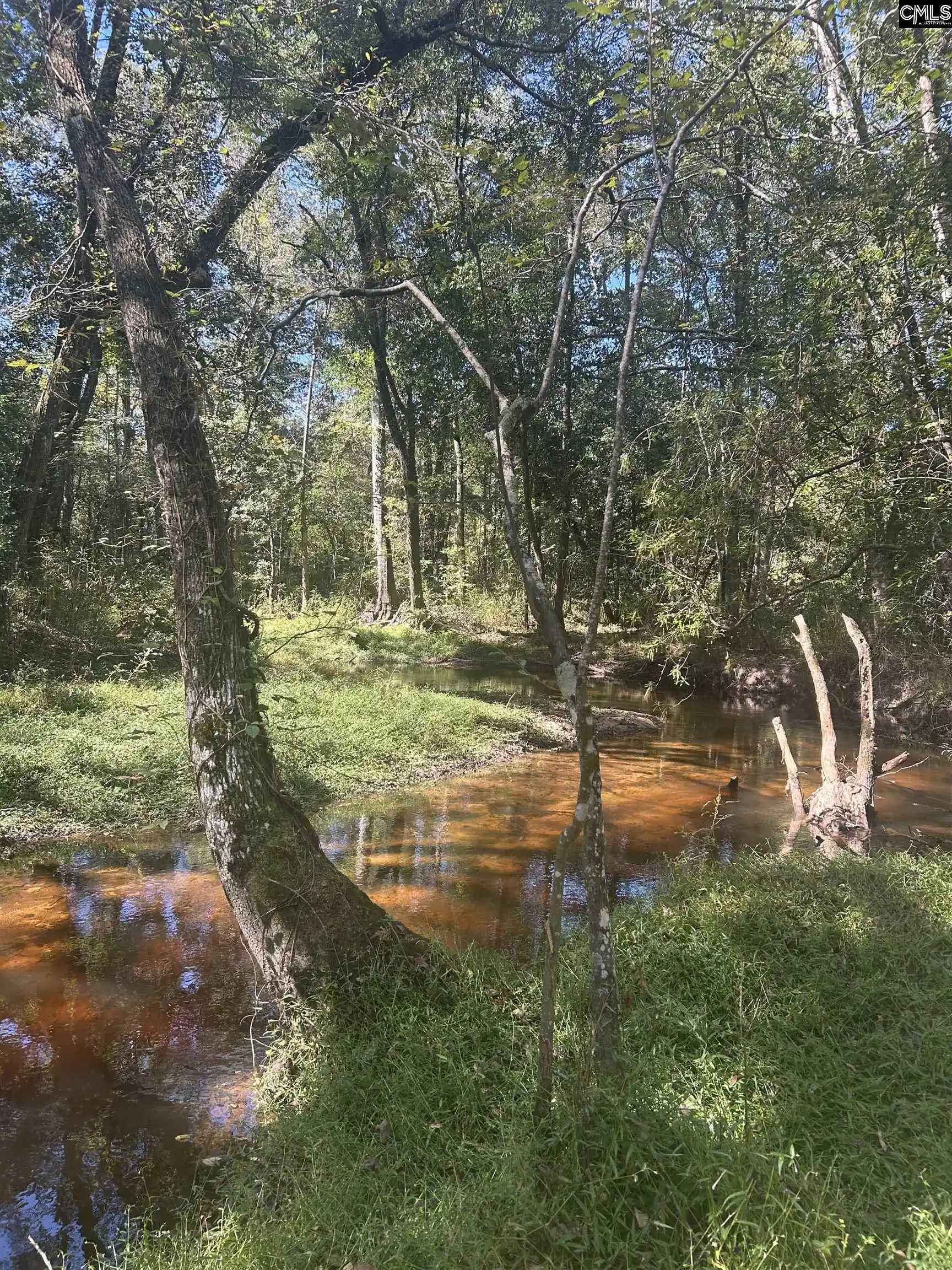 Photo 3 of Land for sale at 0 Swamp Rabbit Rd, Leesville, SC 29070 | MLS# 644630 | Listing updated on 2026-10-15