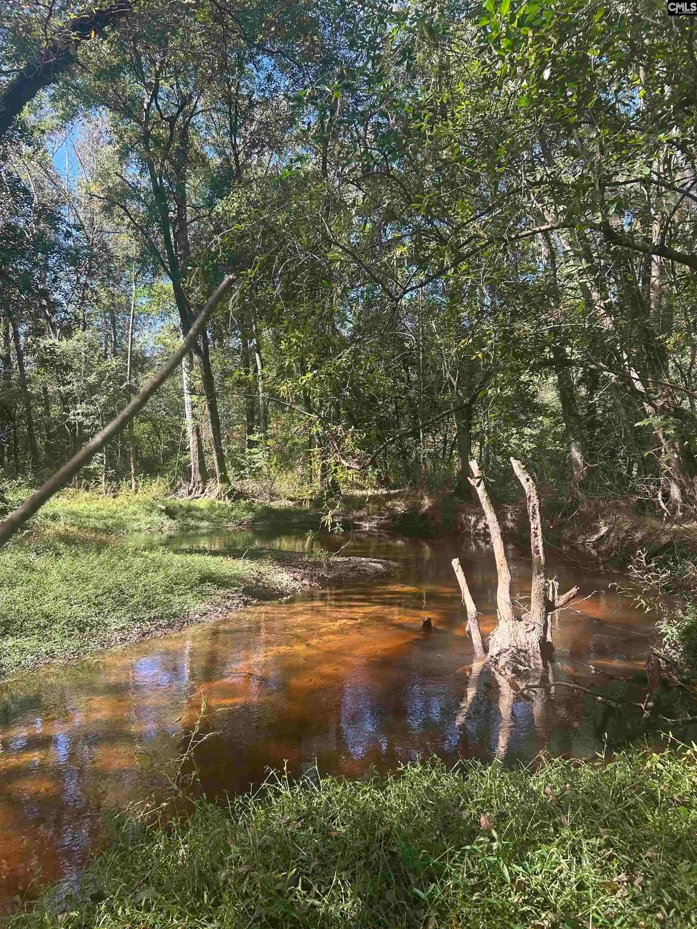 Photo 3 of Land for sale at 0 Swamp Rabbit Rd, Leesville, SC 29070 | MLS# 644630 | Listing updated on 2026-10-15