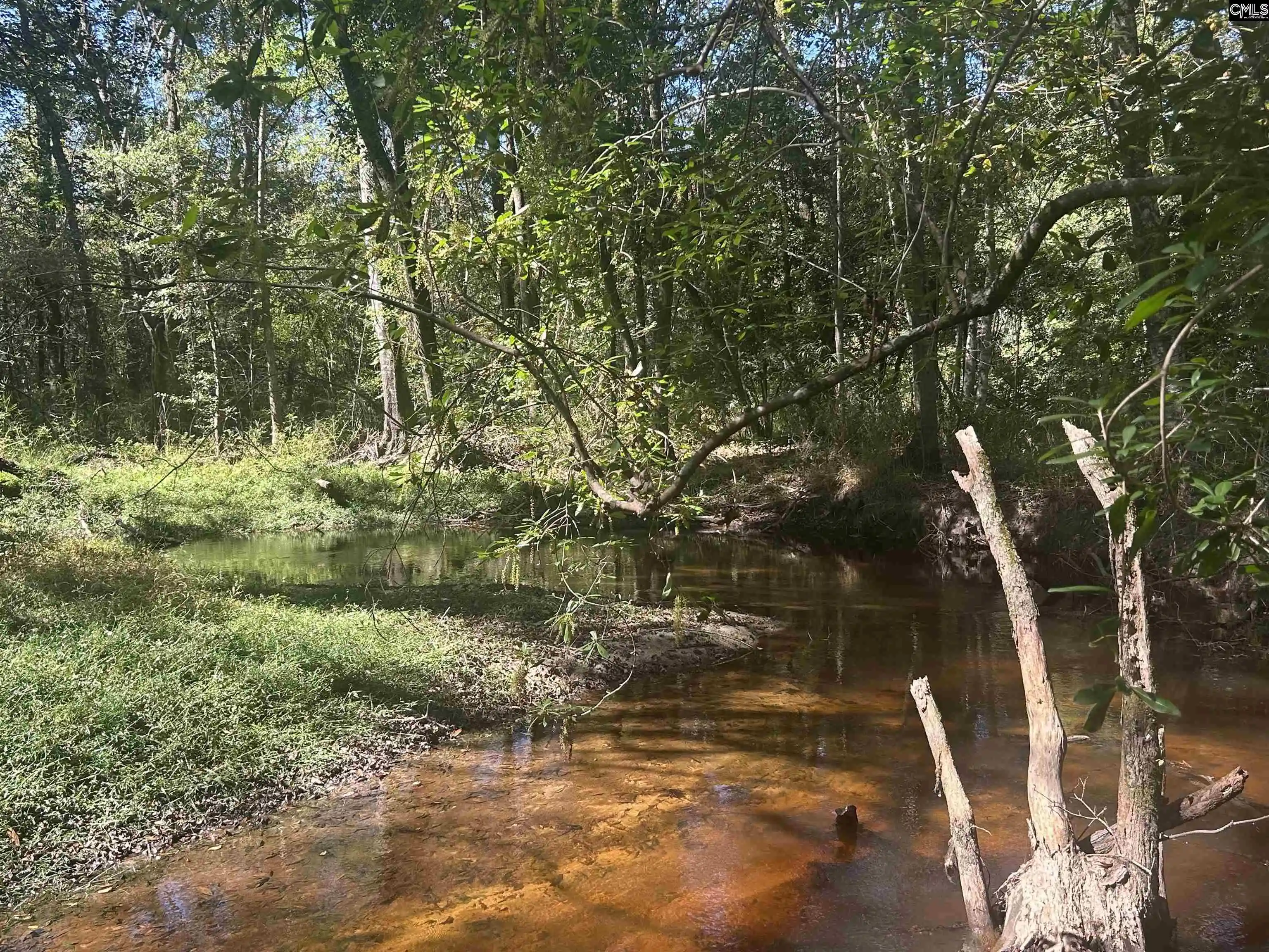 Photo 4 of Land for sale at 0 Swamp Rabbit Rd, Leesville, SC 29070 | MLS# 644630 | Listing updated on 2026-10-15