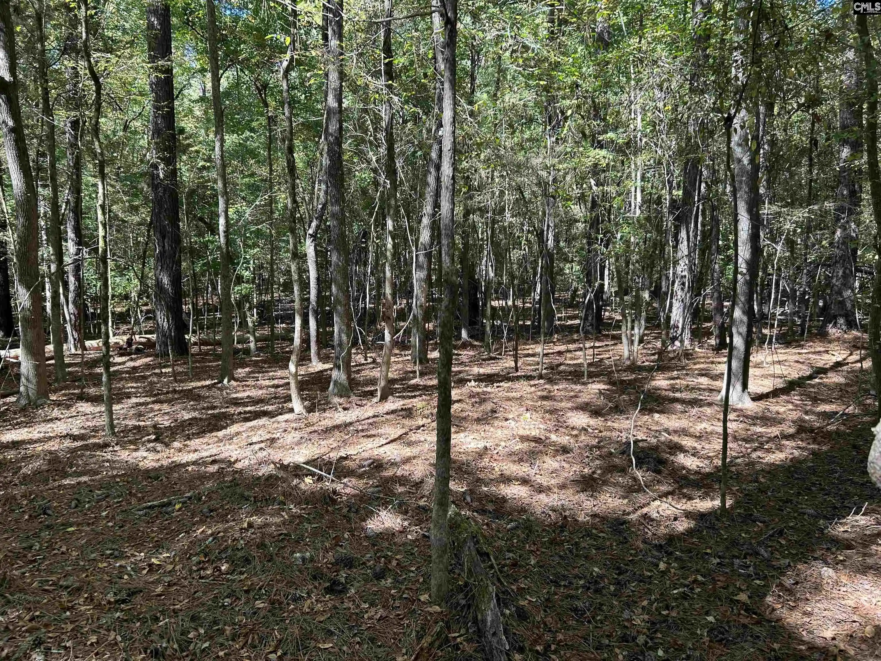 Photo 1 of Manufactured home for sale at 156 Indian Cvs, Chapin, SC 29036 | MLS# 644643 | Listing updated on 2026-10-09