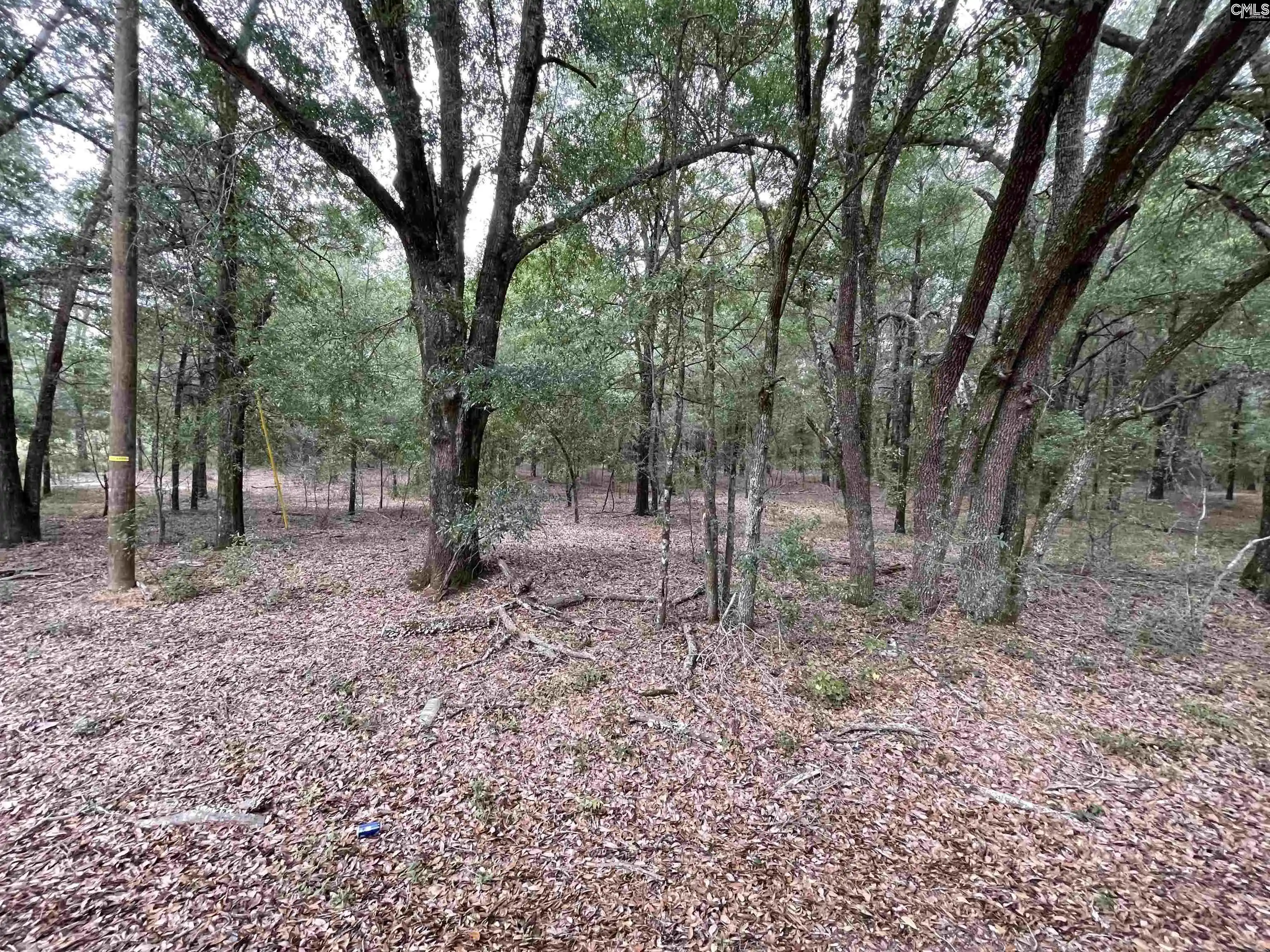Photo 1 of Land for sale at 00 Warbonnet, Salley, SC 29137 | MLS# 644650 | Listing updated on 2026-10-13