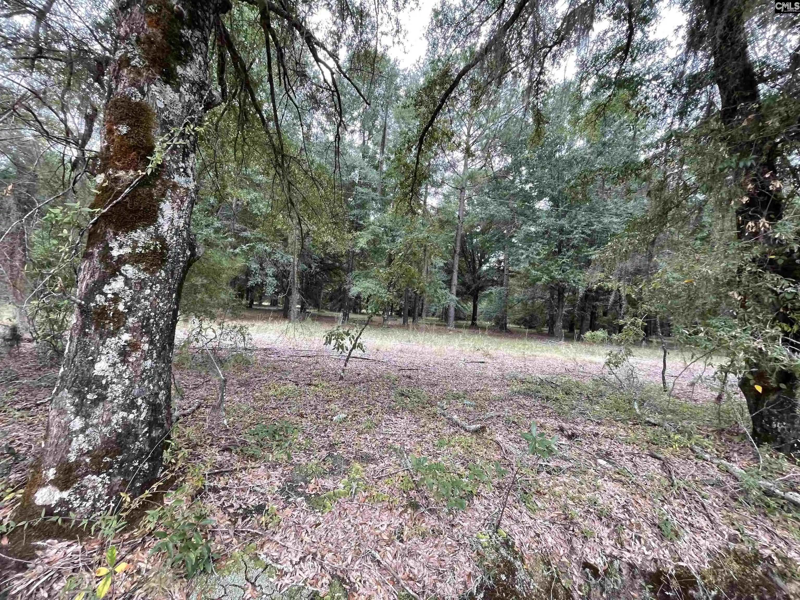 Photo 2 of Land for sale at 00 Warbonnet, Salley, SC 29137 | MLS# 644650 | Listing updated on 2026-10-13