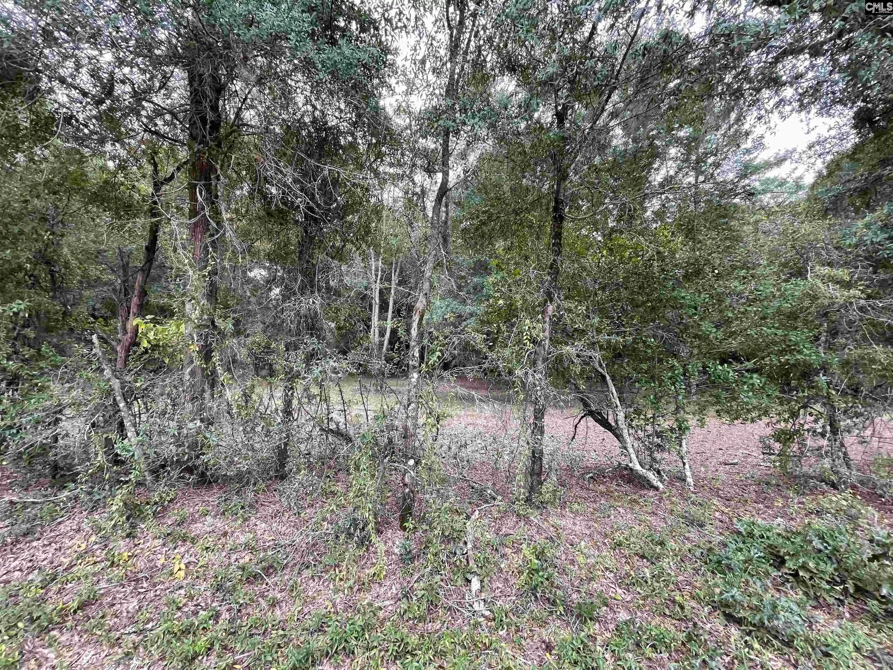 Photo 3 of Land for sale at 00 Warbonnet, Salley, SC 29137 | MLS# 644650 | Listing updated on 2026-10-13