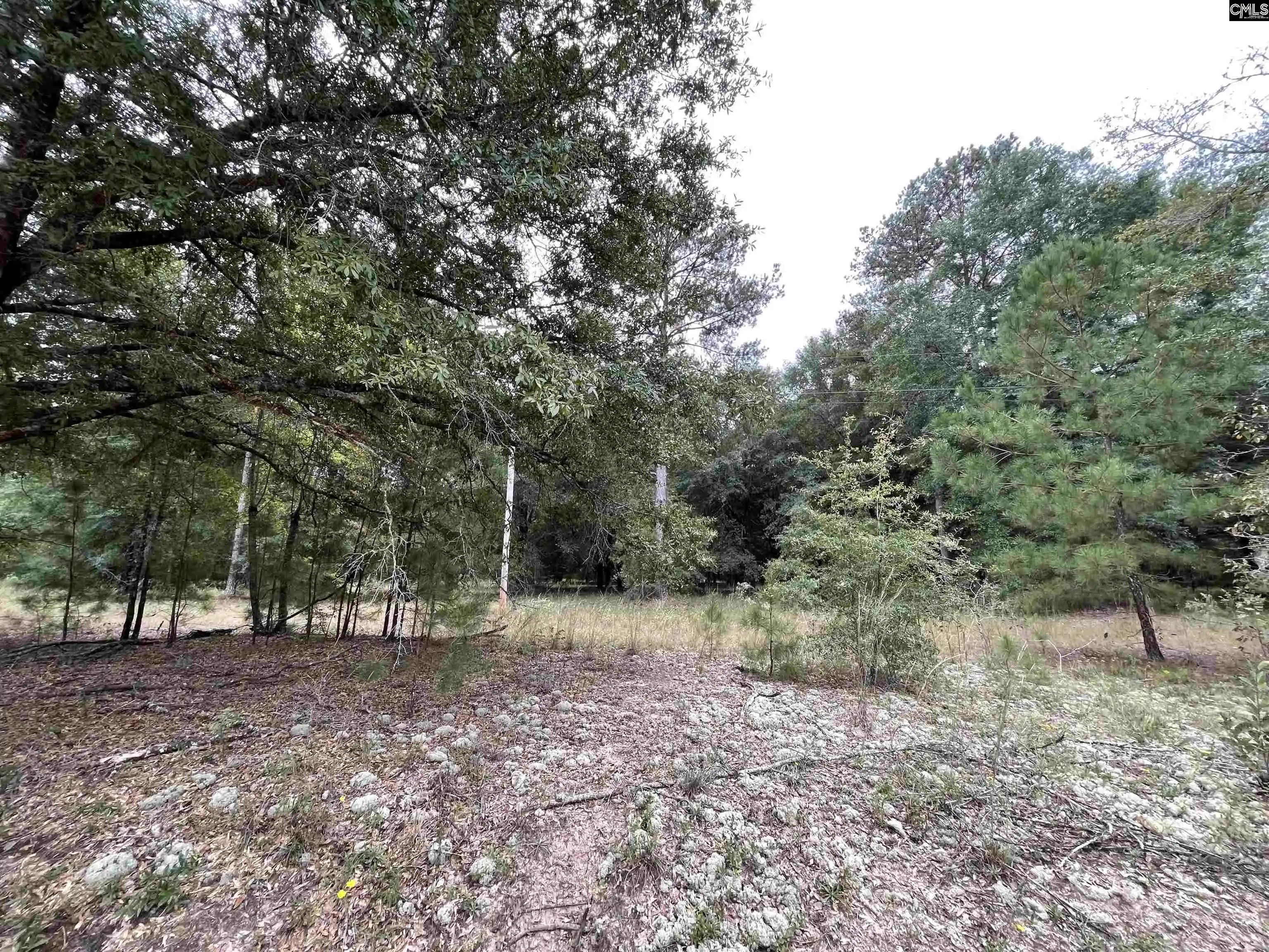 Photo 4 of Land for sale at 00 Warbonnet, Salley, SC 29137 | MLS# 644650 | Listing updated on 2026-10-13