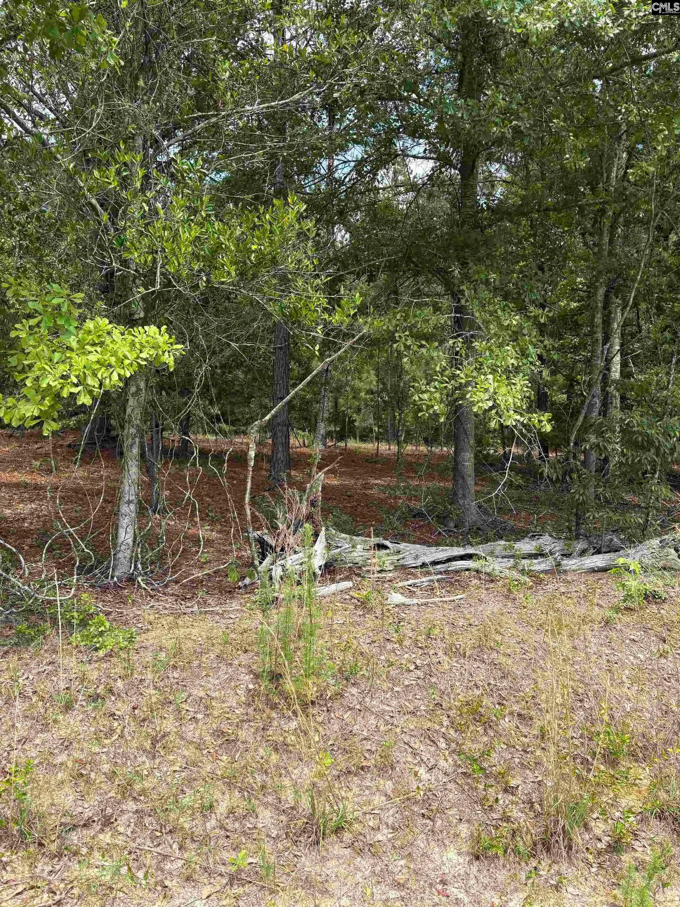 Photo 1 of Land for sale at Lot B Warbonnet, Salley, SC 29137 | MLS# 644653 | Listing updated on 2026-10-09