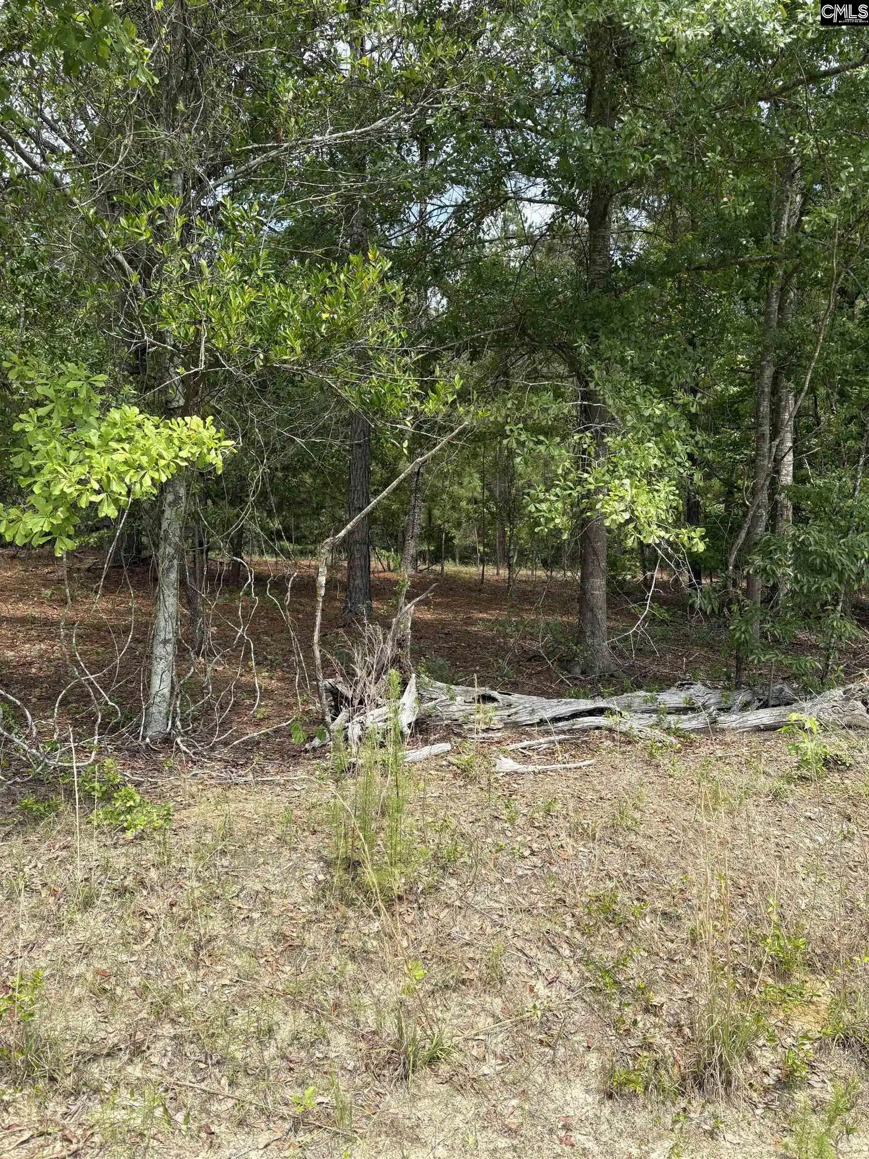 Photo 1 of Land for sale at Lot C Warbonnet, Salley, SC 29137 | MLS# 644655 | Listing updated on 2026-10-09