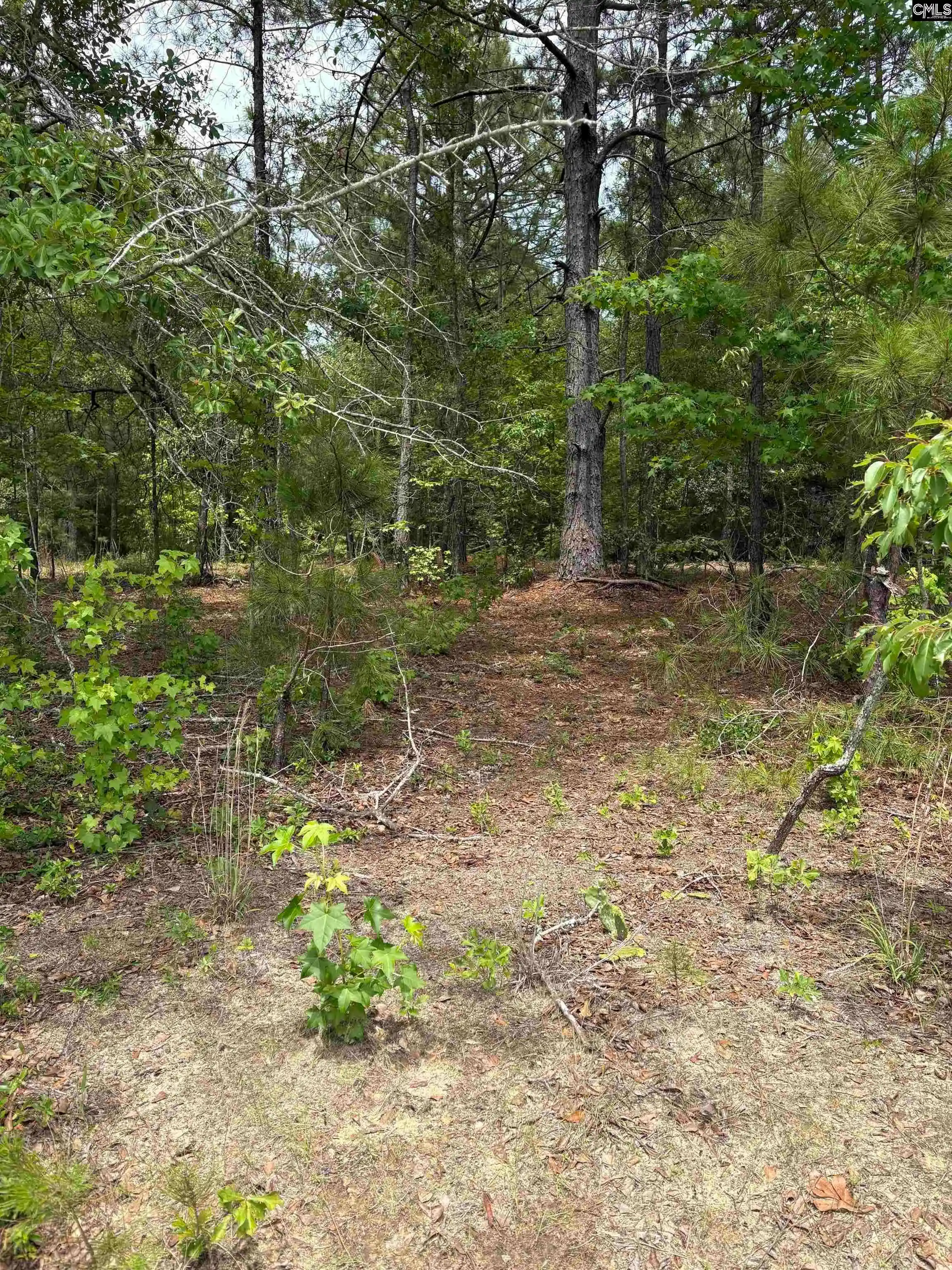 Photo 2 of Land for sale at Lot D Warbonnet, Salley, SC 29137 | MLS# 644656 | Listing updated on 2026-10-09