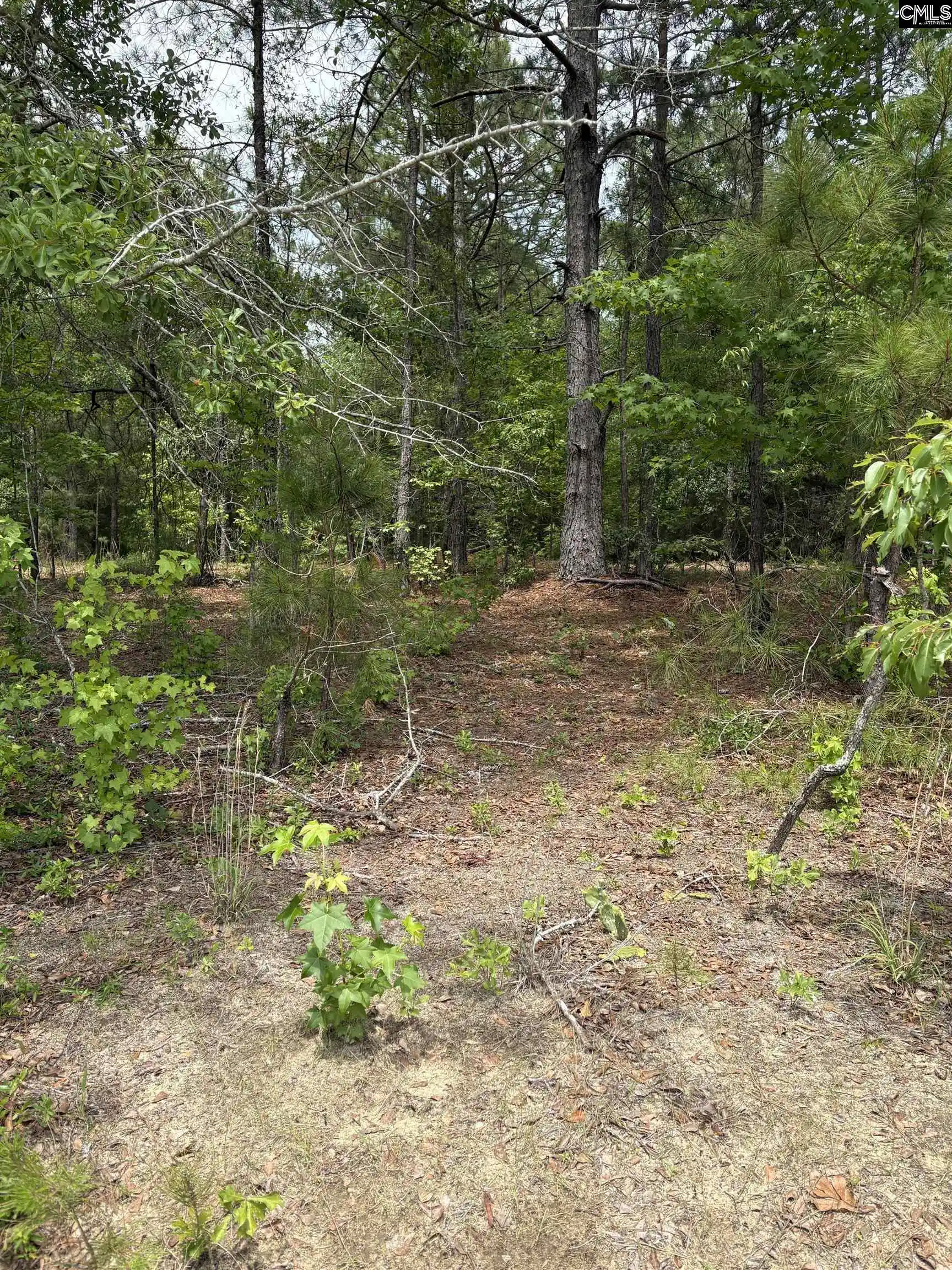 Photo 2 of Land for sale at Lot F Warbonnet, Salley, SC 29137 | MLS# 644658 | Listing updated on 2026-10-09