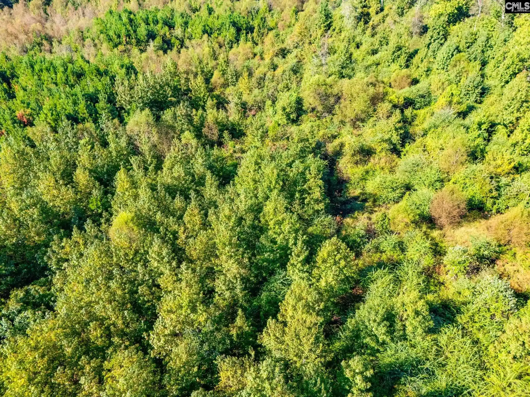 Photo 3 of Land for sale at 1603 Greenway, Lugoff, SC 29078 | MLS# 644699 | Listing updated on 2026-10-09