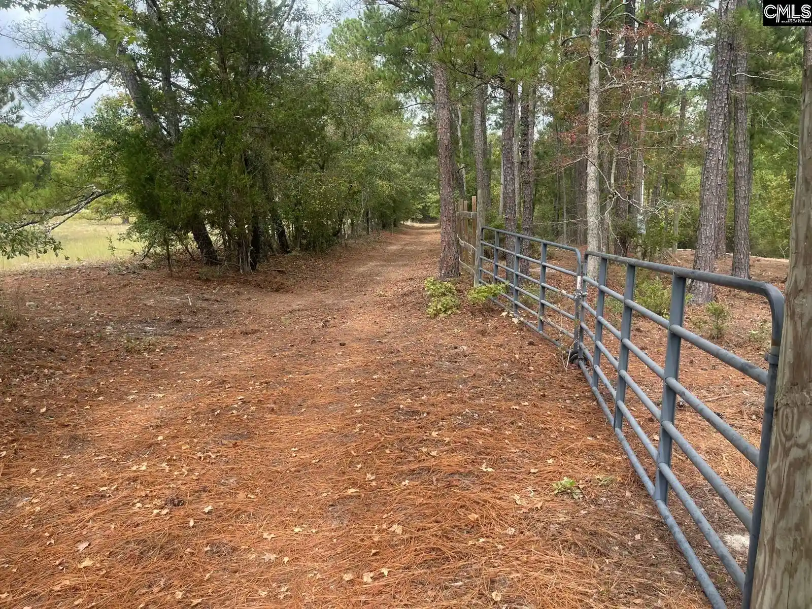 Photo 3 of Land for sale at 3520 Richardson, Kershaw, SC 29067 | MLS# 644712 | Listing updated on 2026-10-09