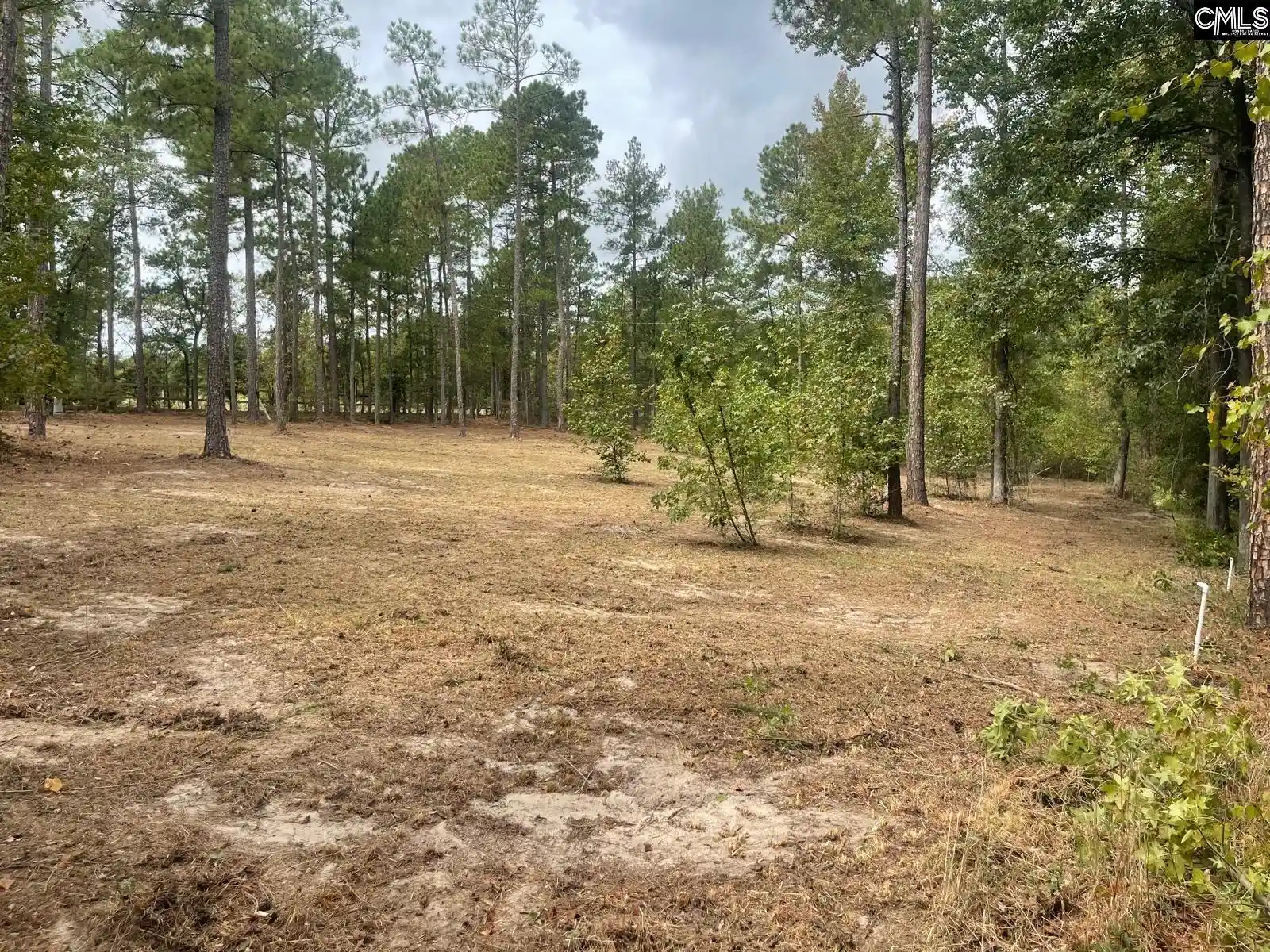 Photo 3 of Land for sale at 3520 Richardson, Kershaw, SC 29067 | MLS# 644712 | Listing updated on 2026-10-09