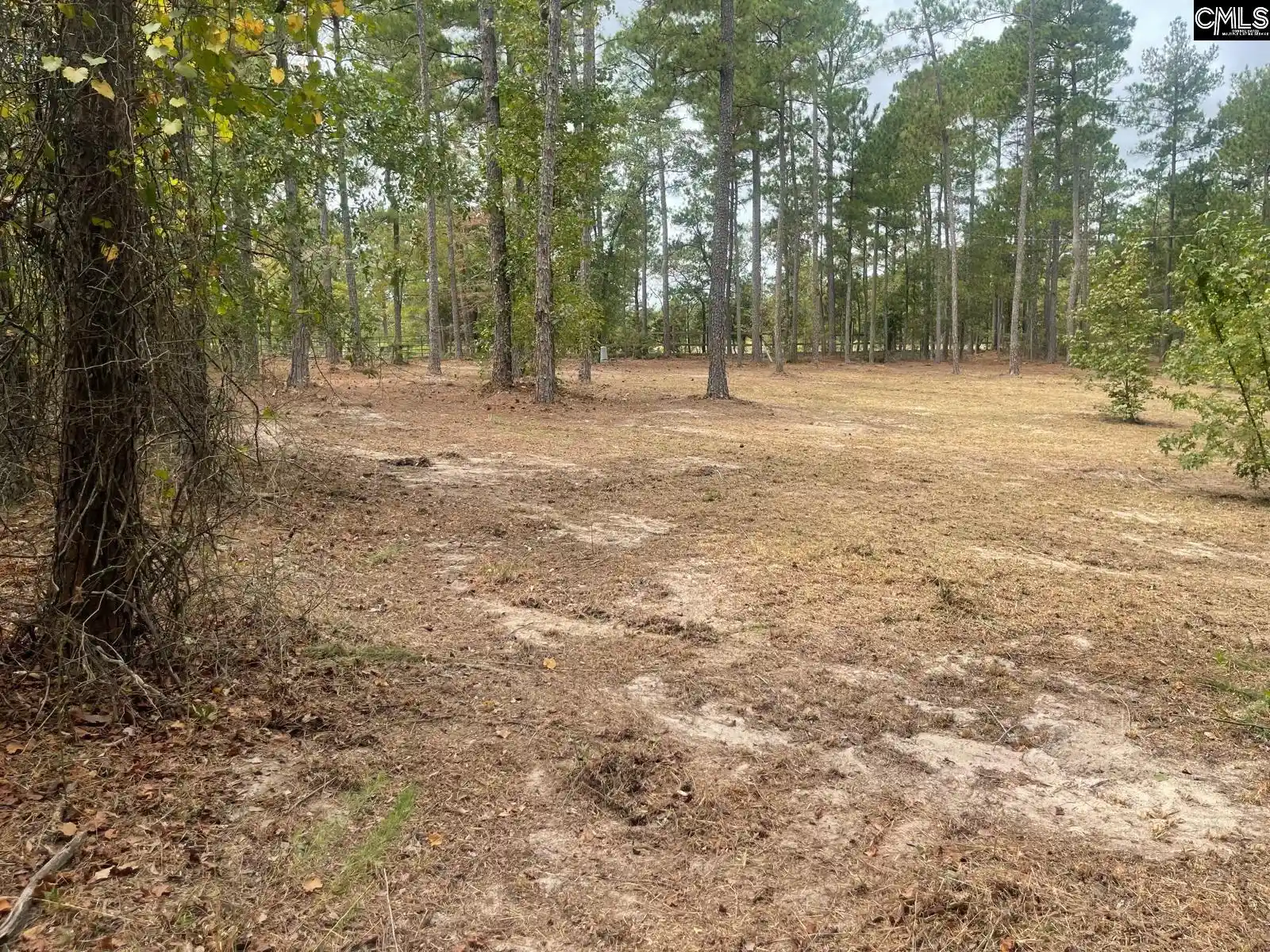 Photo 4 of Land for sale at 3520 Richardson, Kershaw, SC 29067 | MLS# 644712 | Listing updated on 2026-10-09