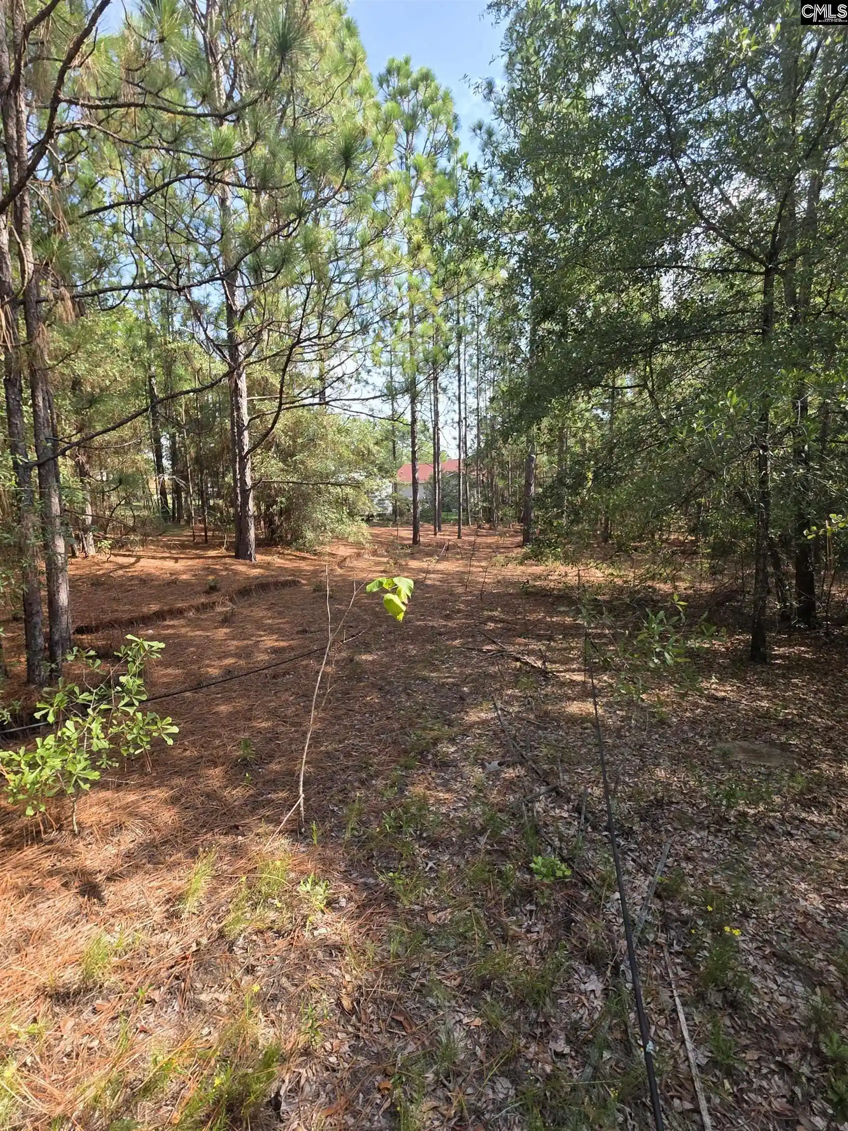 Photo 4 of Single family home for sale at 1020 Grandview, West Columbia, SC 29172 | MLS# 644713 | Listing updated on 2026-10-09