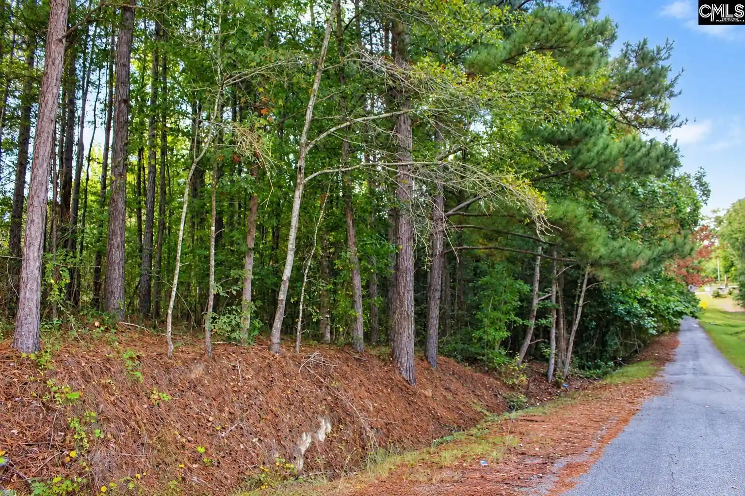 Photo 3 of Land for sale at 2641 Mccords Fry, Eastover, SC 29044 | MLS# 644718 | Listing updated on 2026-10-09