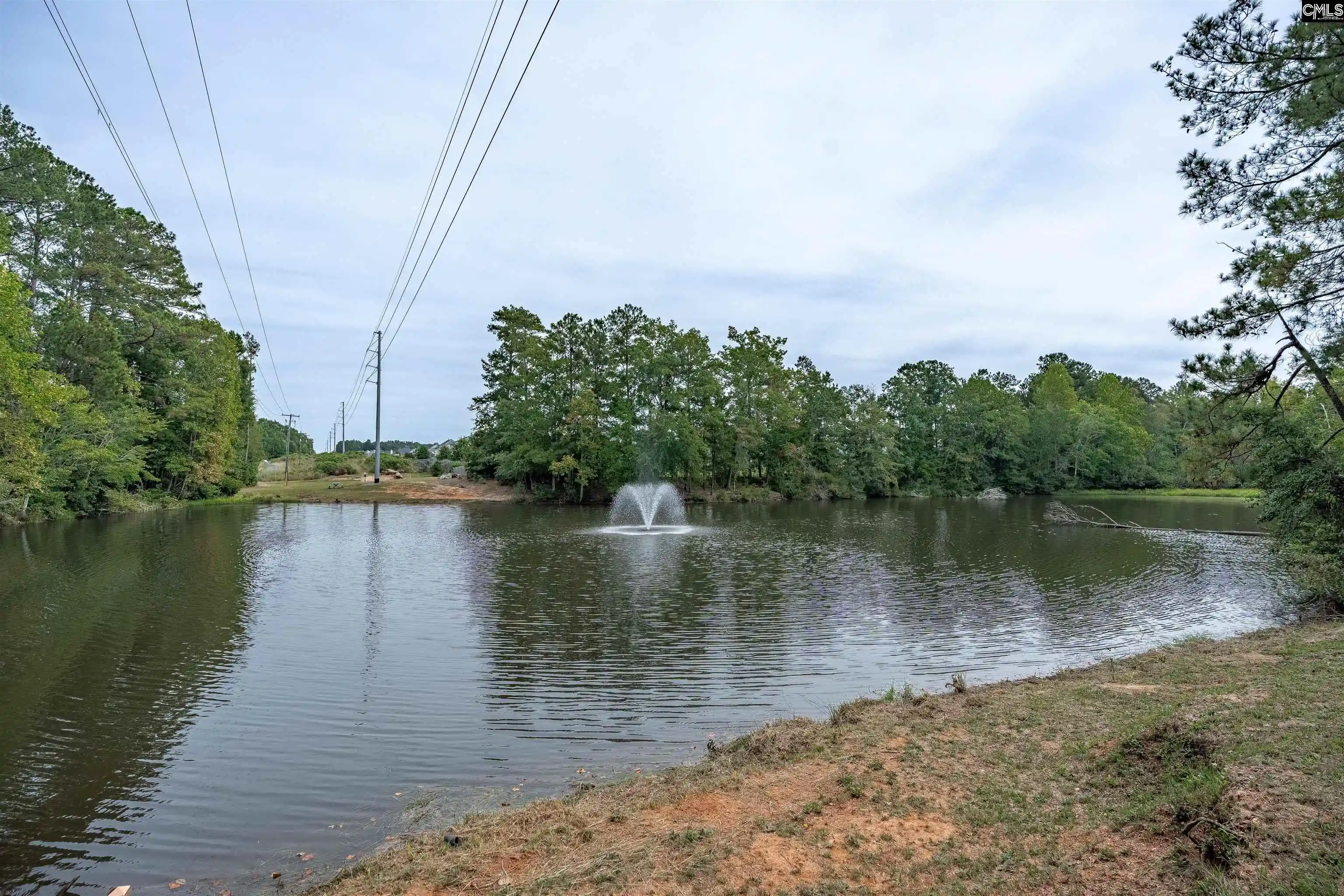 Photo 3 of Single family home for sale at 755 Tiger Lily, Lexington, SC 29072 | MLS# 644762 | Listing updated on 2026-10-10