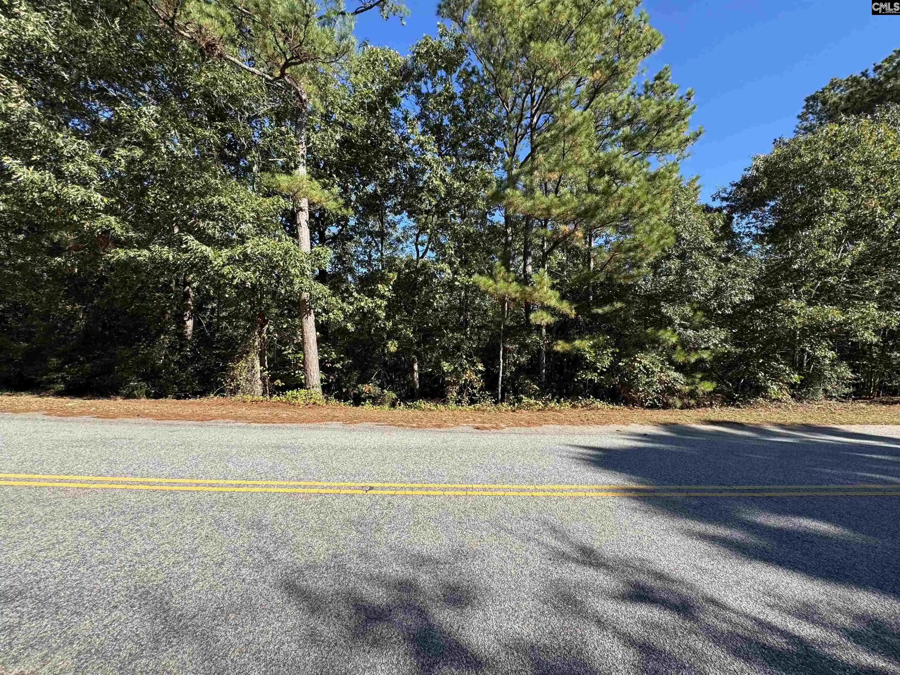 Photo 1 of Land for sale at Tbd Ruth Vista Rd, Lexington, SC 29073 | MLS# 644782 | Listing updated on 2026-10-10