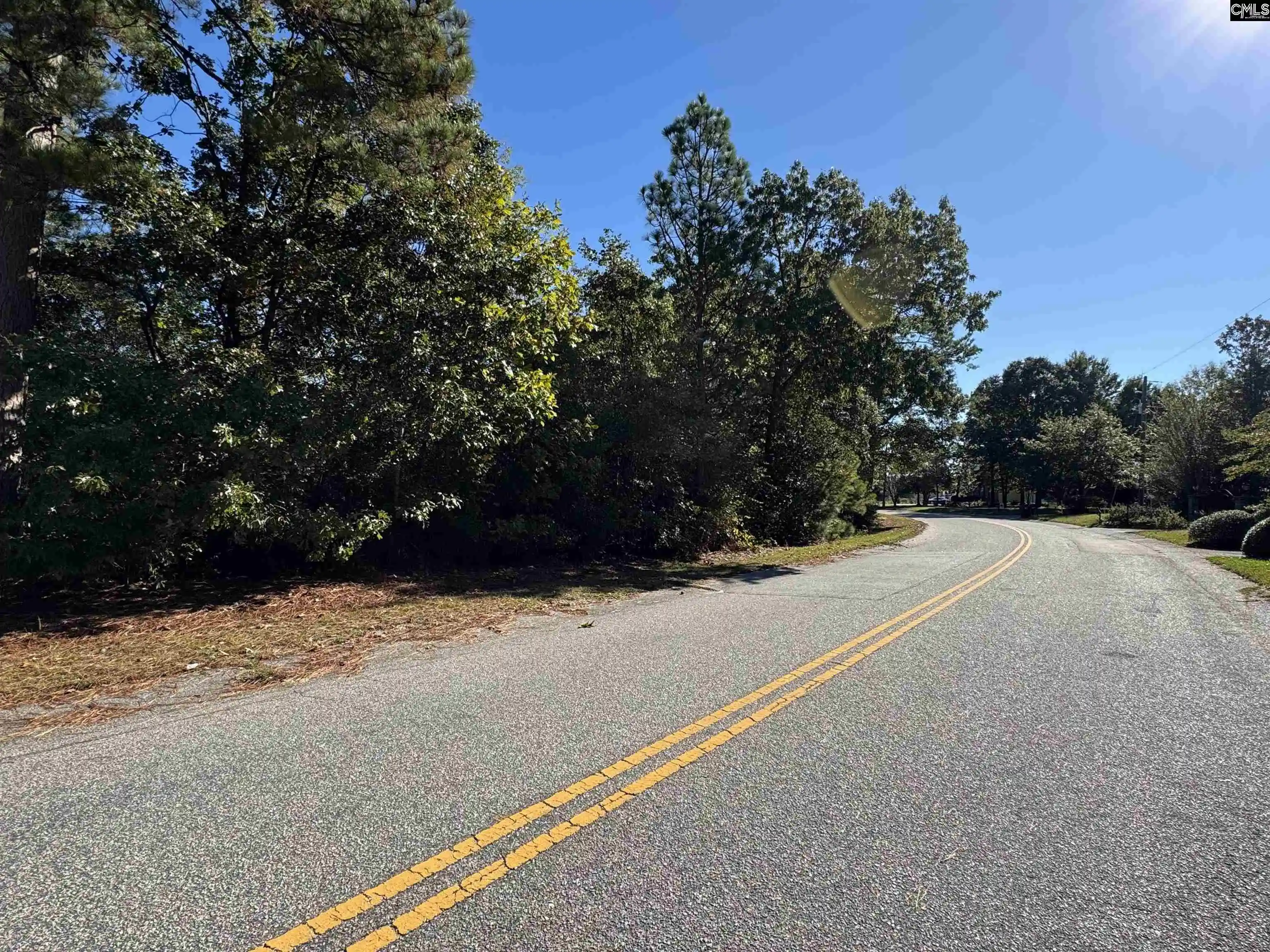 Photo 2 of Land for sale at Tbd Ruth Vista Rd, Lexington, SC 29073 | MLS# 644782 | Listing updated on 2026-10-10