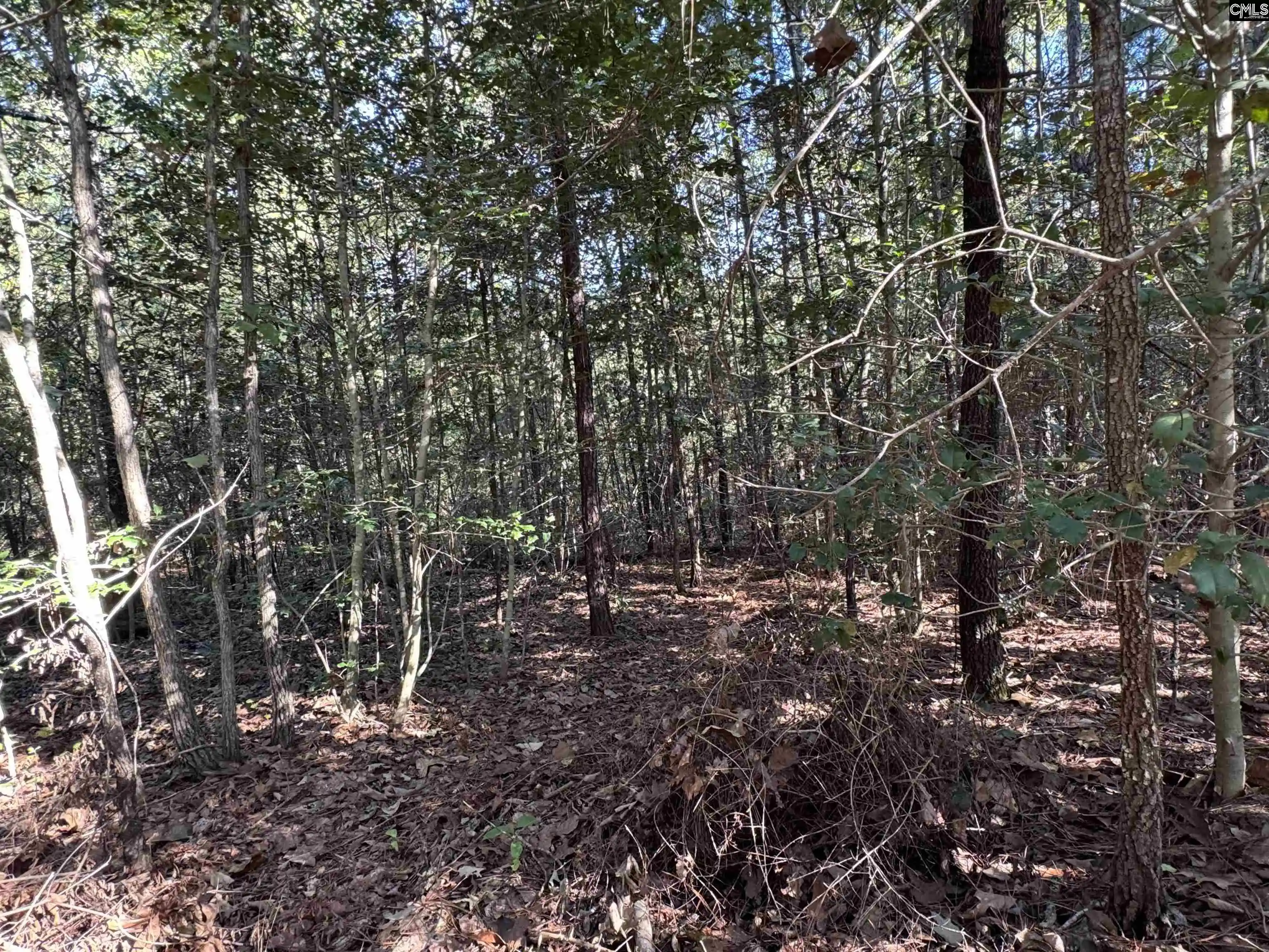 Photo 4 of Land for sale at Tbd Ruth Vista Rd, Lexington, SC 29073 | MLS# 644782 | Listing updated on 2026-10-10