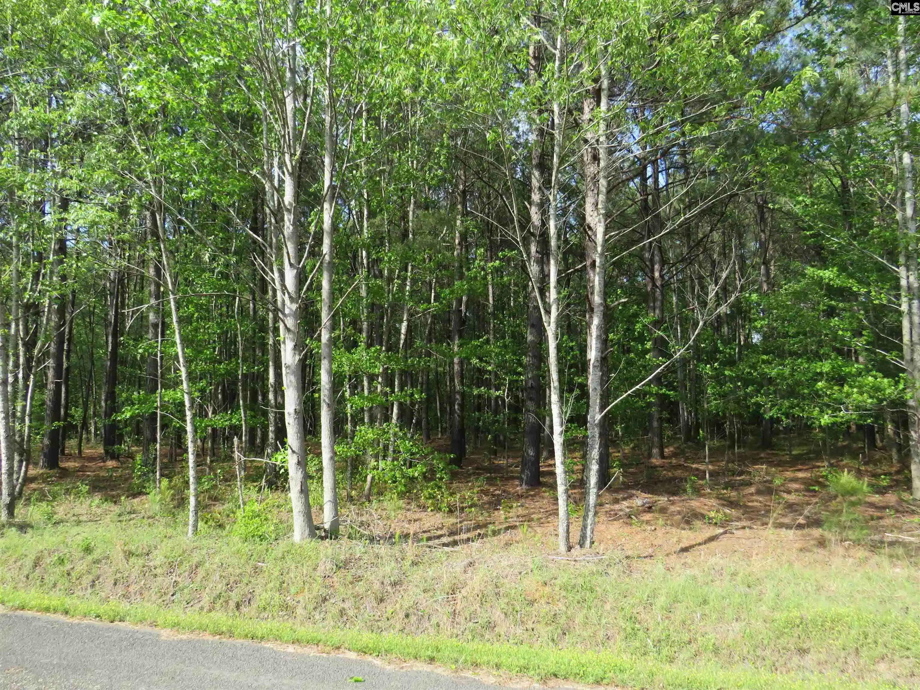 Photo 3 of Land for sale at S/s Old Eastover, Eastover, SC 29044 | MLS# 644817 | Listing updated on 2026-10-17