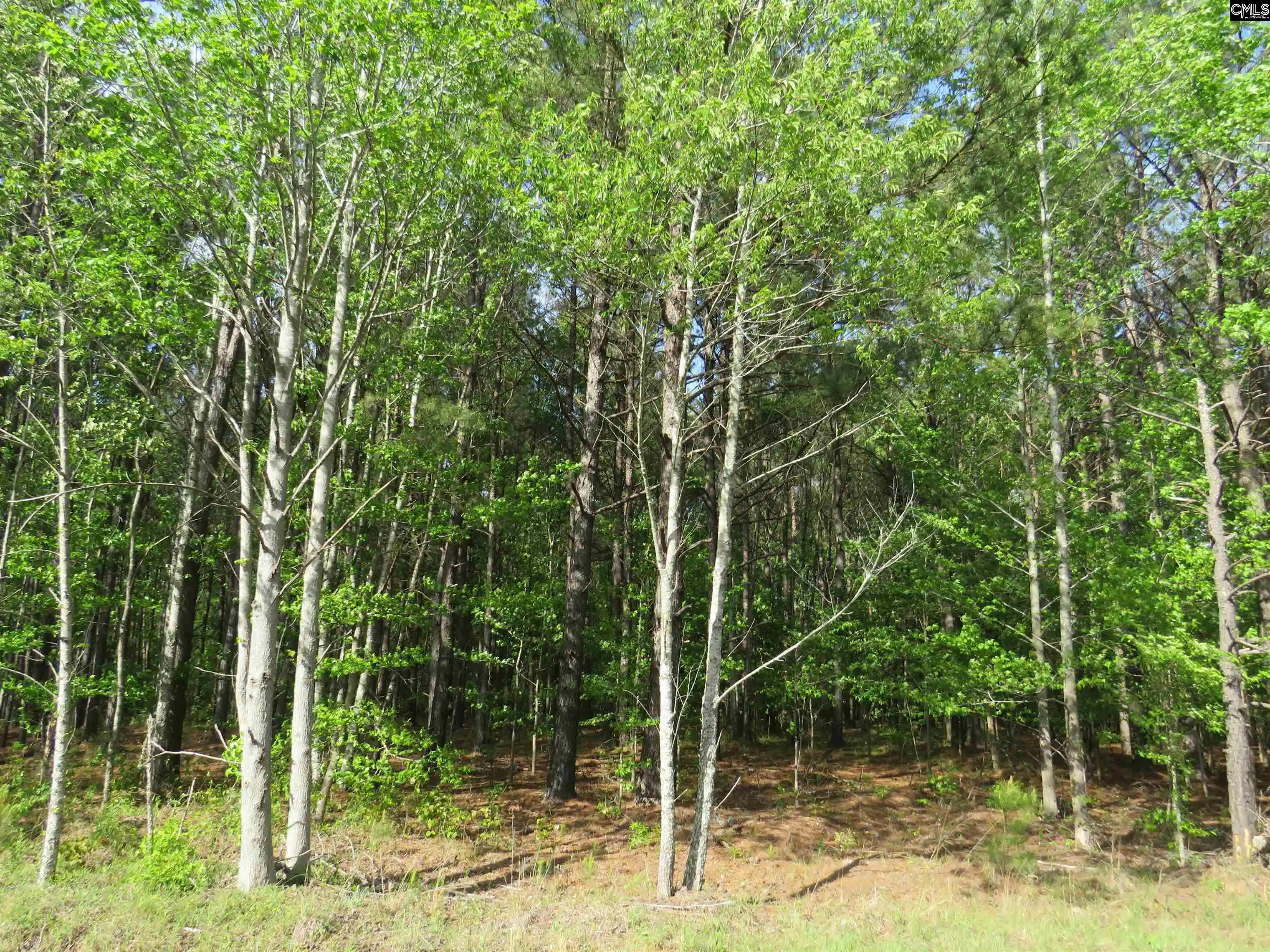 Photo 3 of Land for sale at S/s Old Eastover, Eastover, SC 29044 | MLS# 644817 | Listing updated on 2026-10-17
