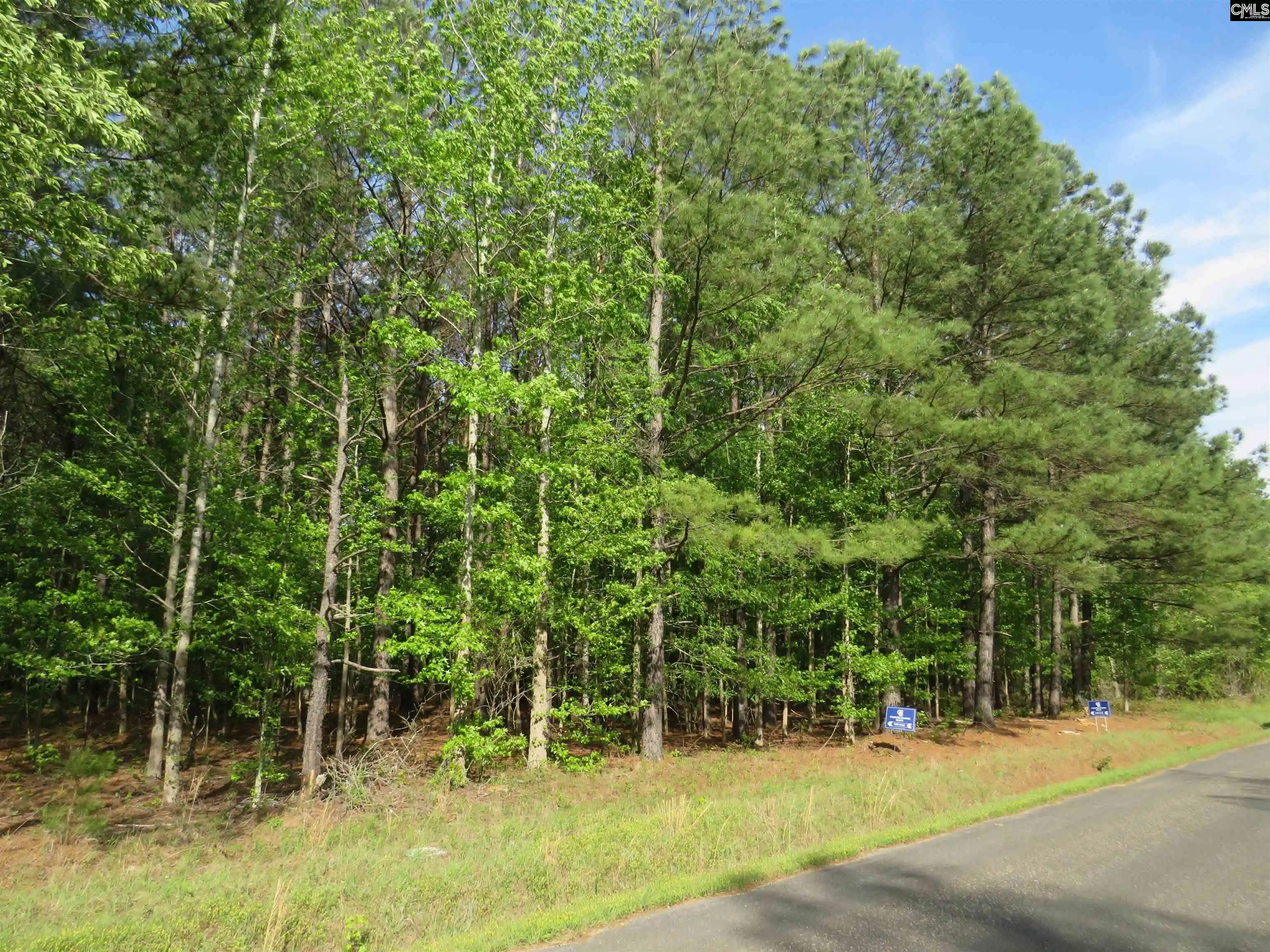 Photo 4 of Land for sale at S/s Old Eastover, Eastover, SC 29044 | MLS# 644817 | Listing updated on 2026-10-17