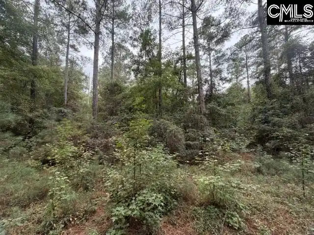 Photo 2 of Sale Pending at 0 Broad, Leesville, SC 29070 | MLS# 644858 | Listing updated on 2026-10-19