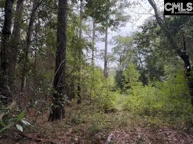 Photo 3 of Sale Pending at 0 Broad, Leesville, SC 29070 | MLS# 644858 | Listing updated on 2026-10-19